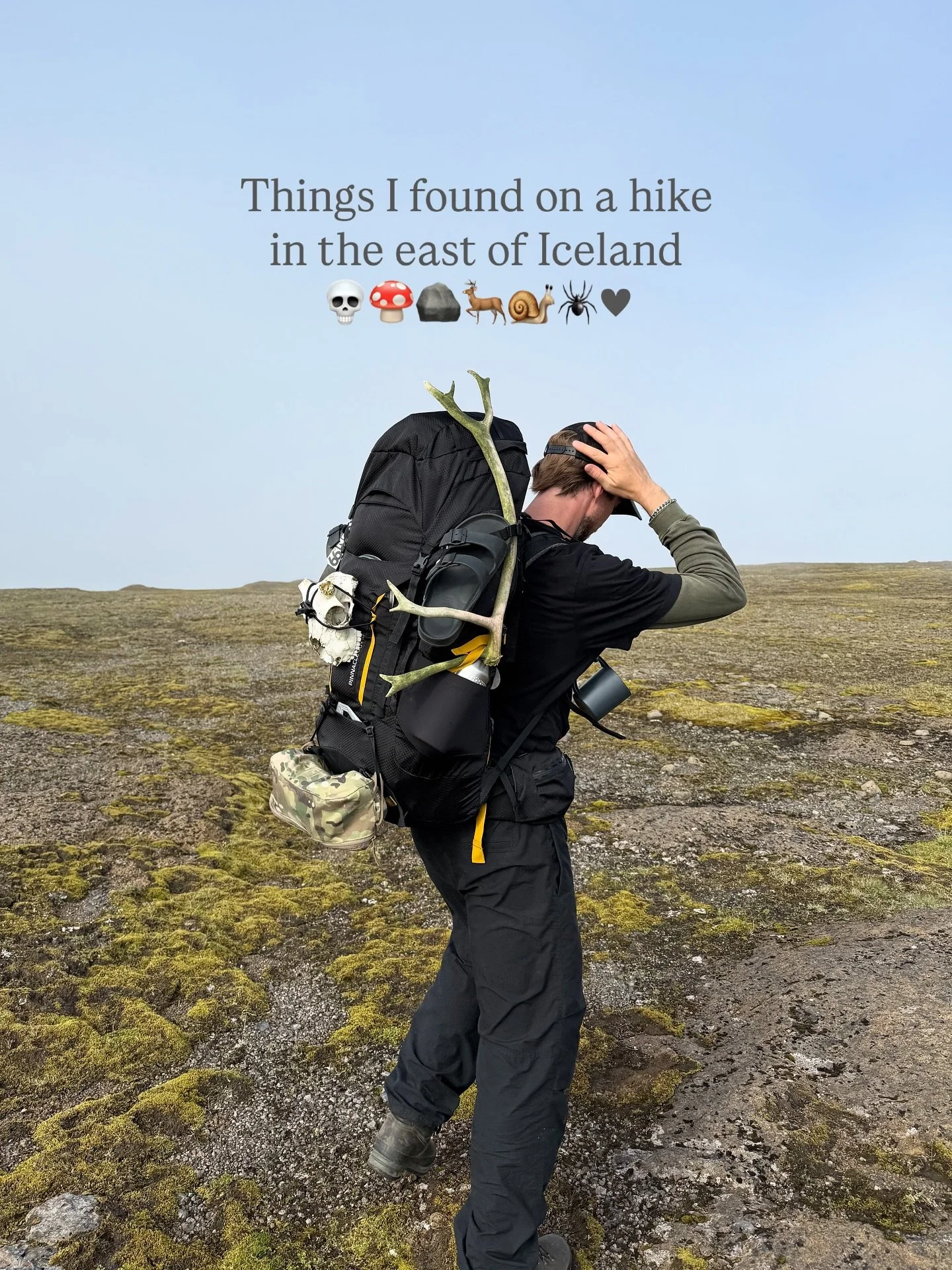 You are not going to like the last photo 🕸️

#icelandnature #fieldfinds #smallthingsoutside #icelandic
