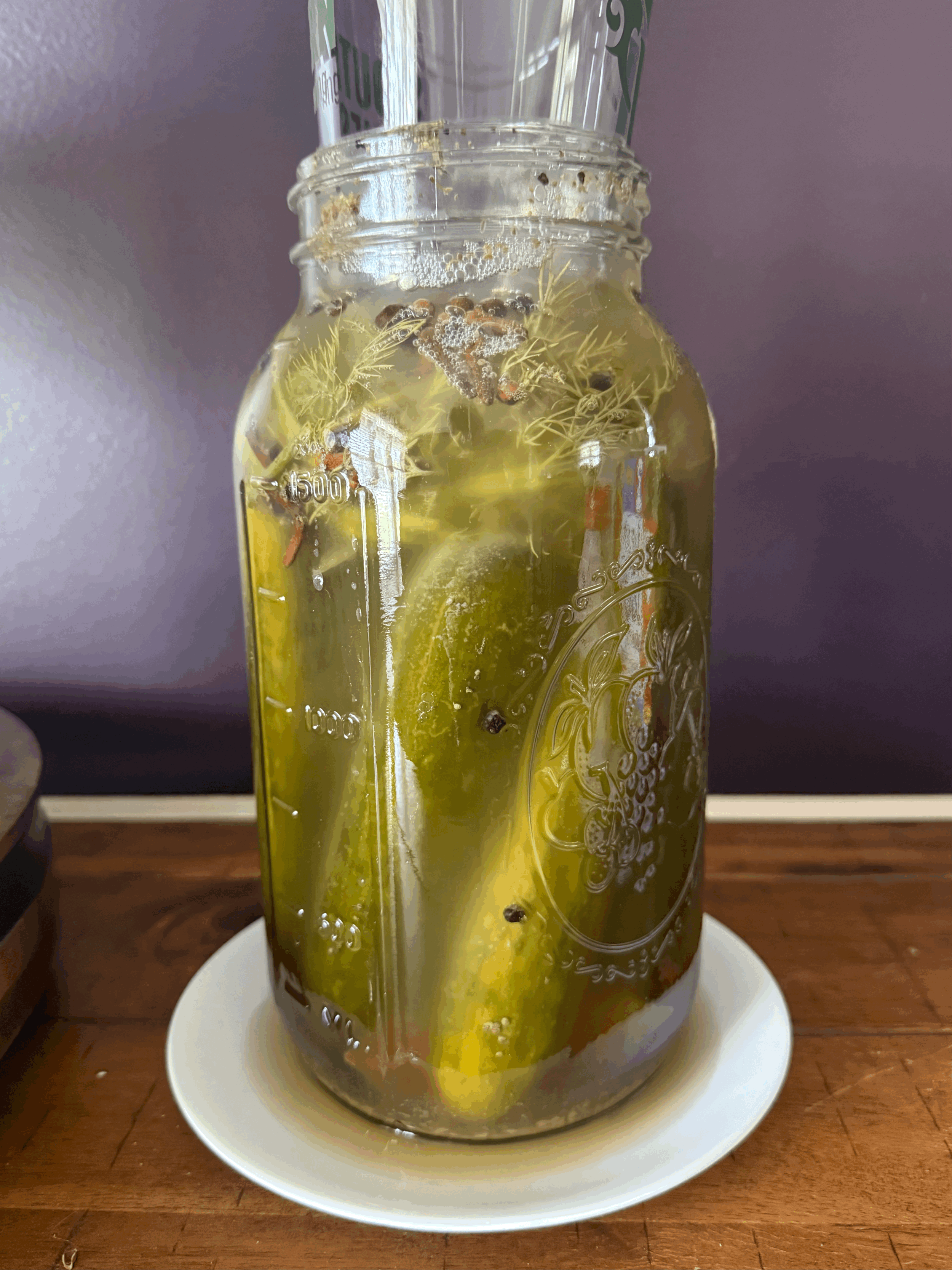 How to Make Fermented Pickles: My Step-by-Step Guide