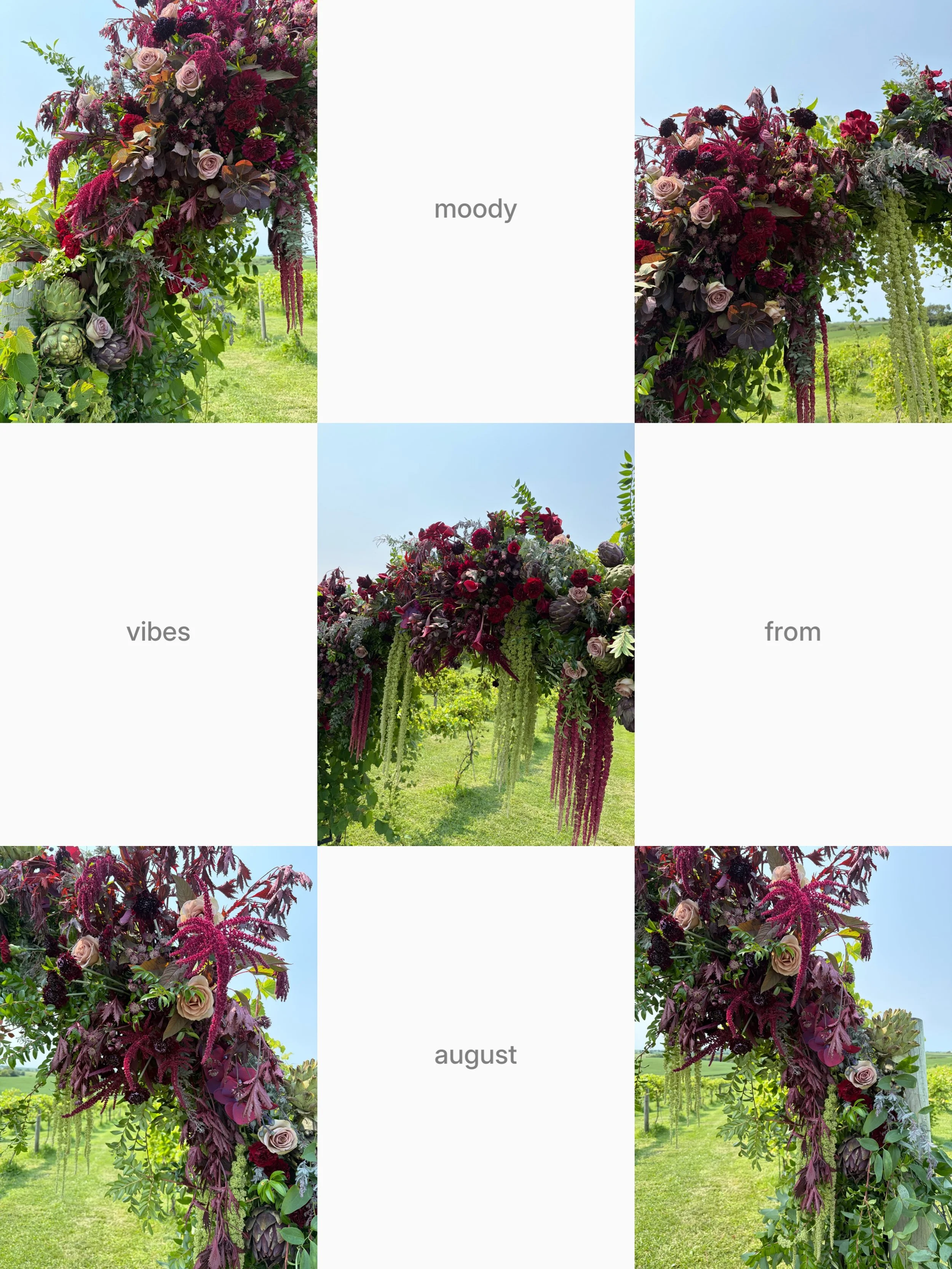 I&rsquo;m not ready to give up summer vibes but I will take more moody vibes!!

Couldn&rsquo;t help but share some more of the cell phone pics of this arch at @walker.homestead from the beginning of the month! 💜

#moodyweddingflorals #weddingceremon