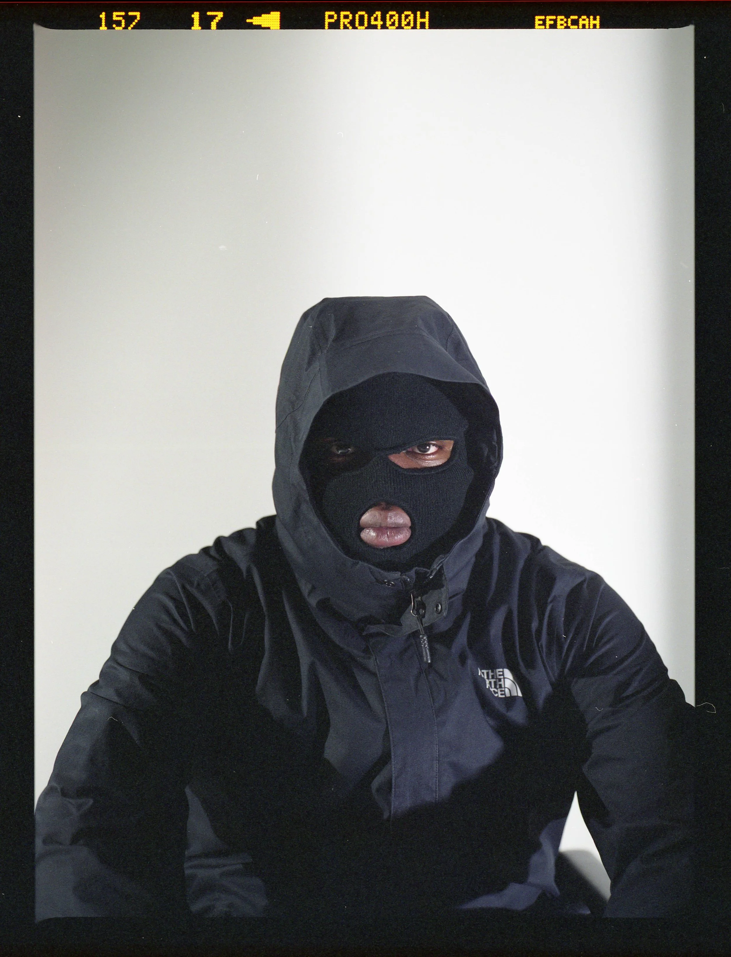 img311-2.jpg