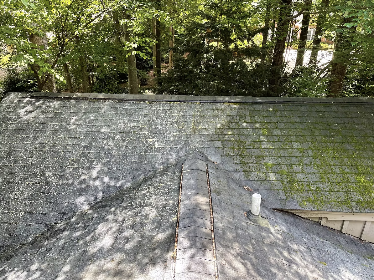 Screenshot 2025-01-06 at 5.09.15 PM.png