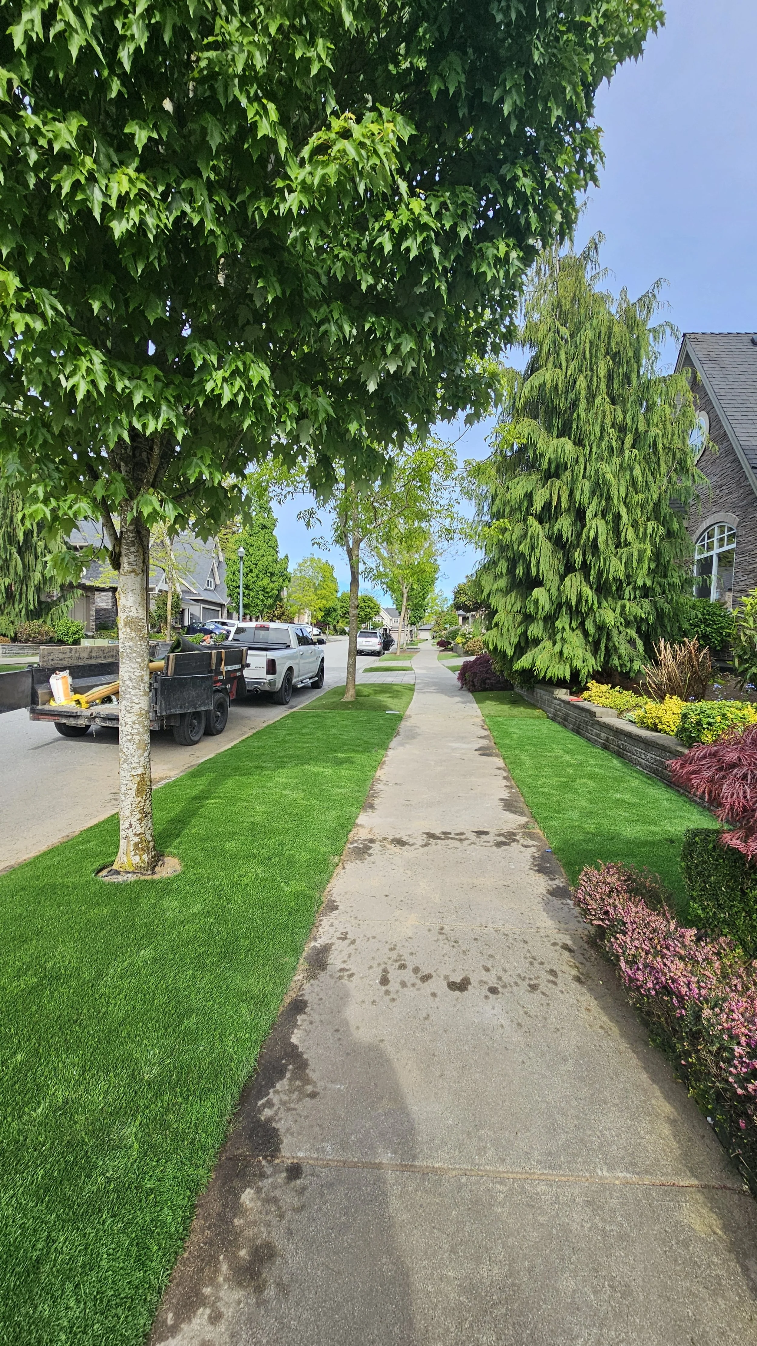 Artificial Turf installation Chilliwack Bc