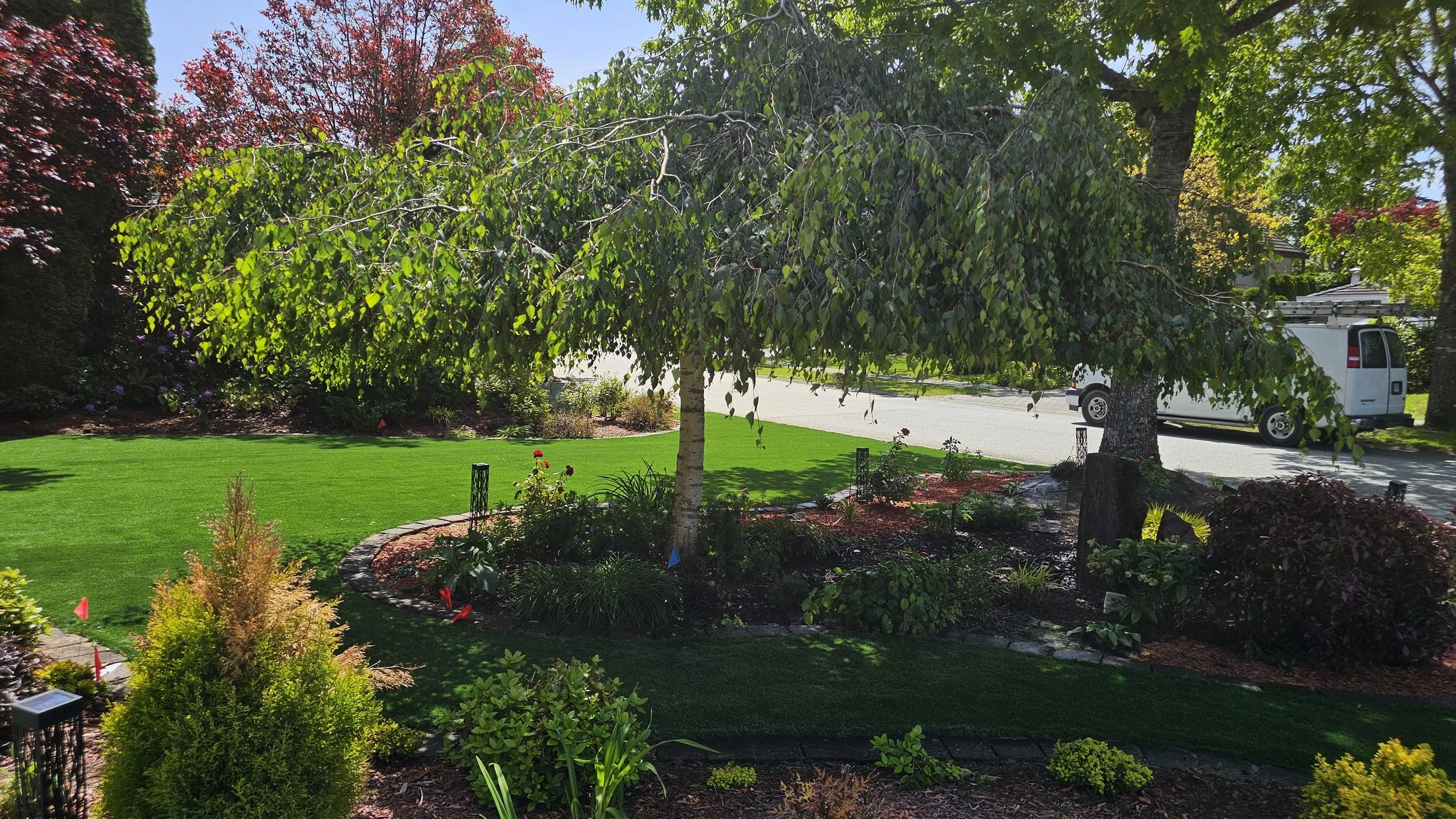 professional Turf installer Near me Abbotsford