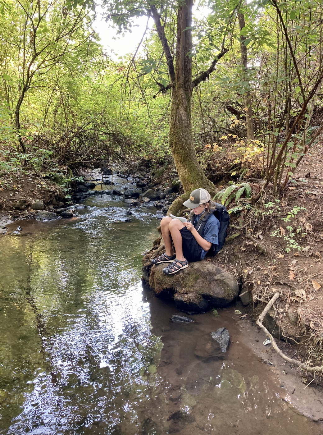 Person sitting on a rock beside a forest stream, reading a book, wearing a cap and backpack.