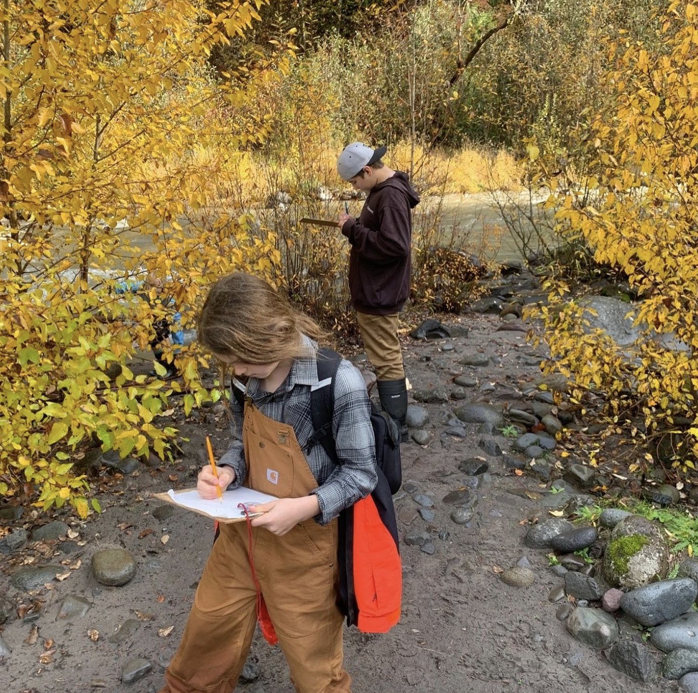 Two people wearing outdoor clothing are taking notes in a forested area with yellow autumn foliage. One is holding a clipboard and writing, while the other uses a tablet.