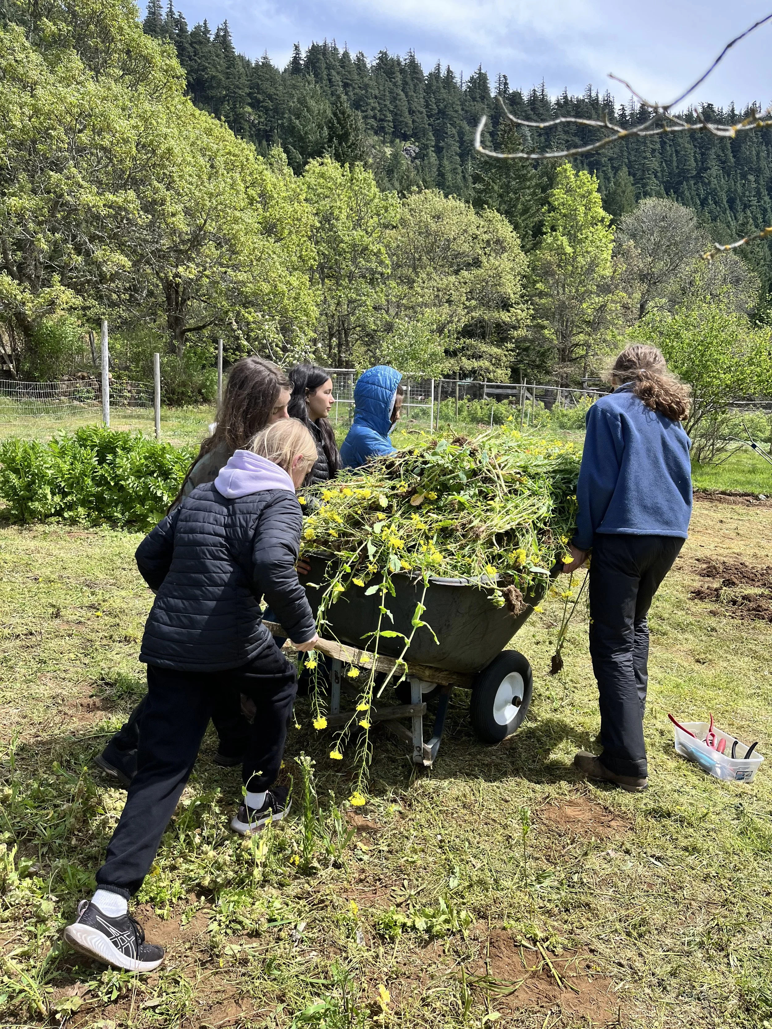 Group of children and adults working together outside in a garden, pushing a wheelbarrow filled with harvested plants and flowers.