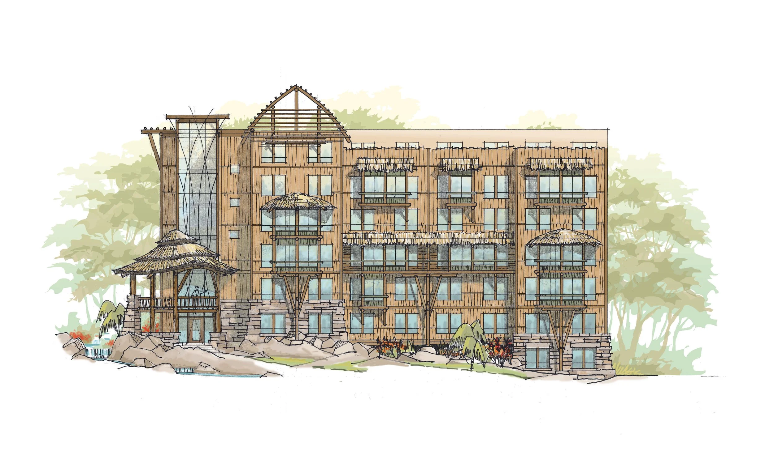 South American wing Color.jpg