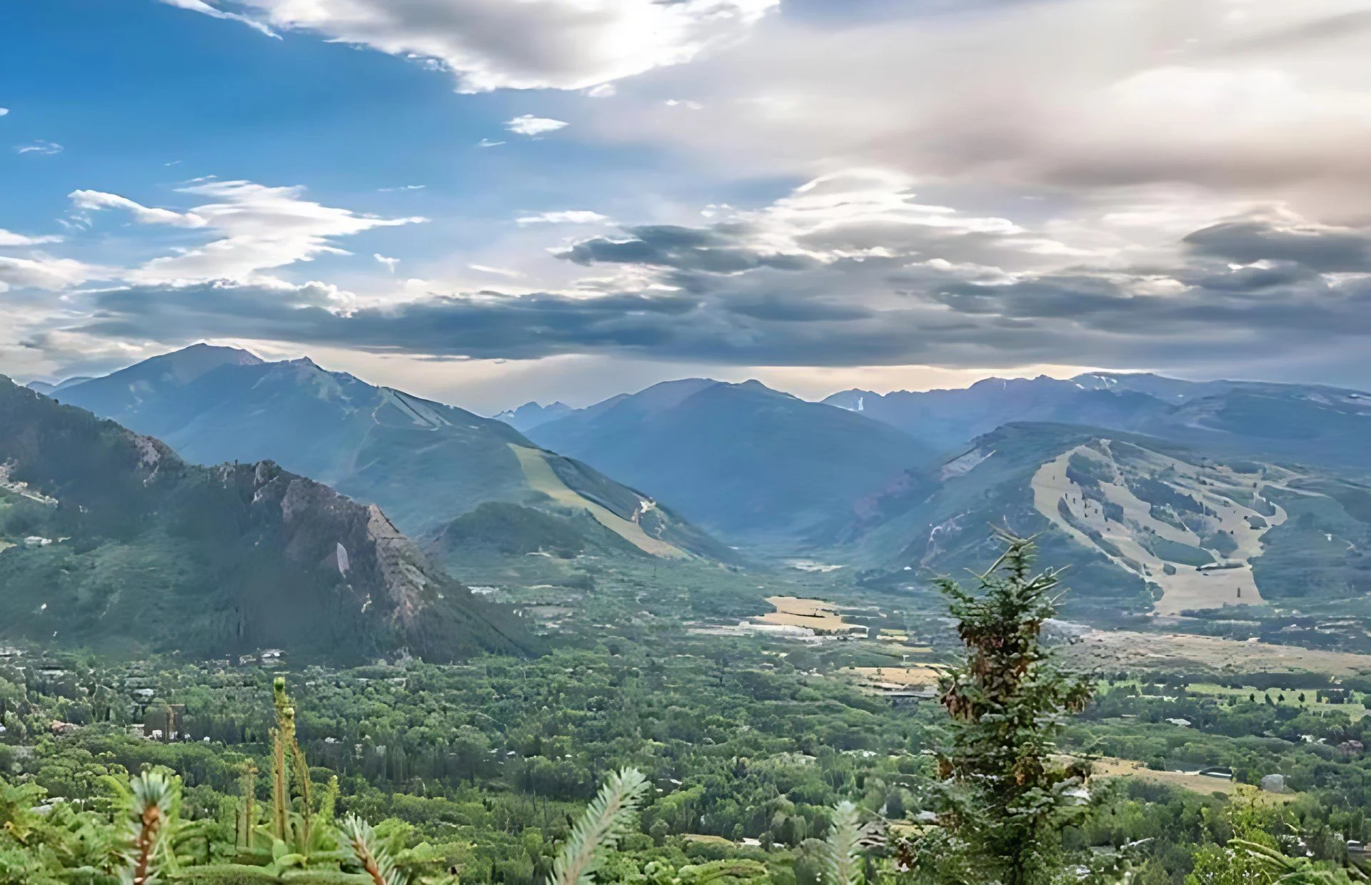 apen image_PhotoGrid.jpg