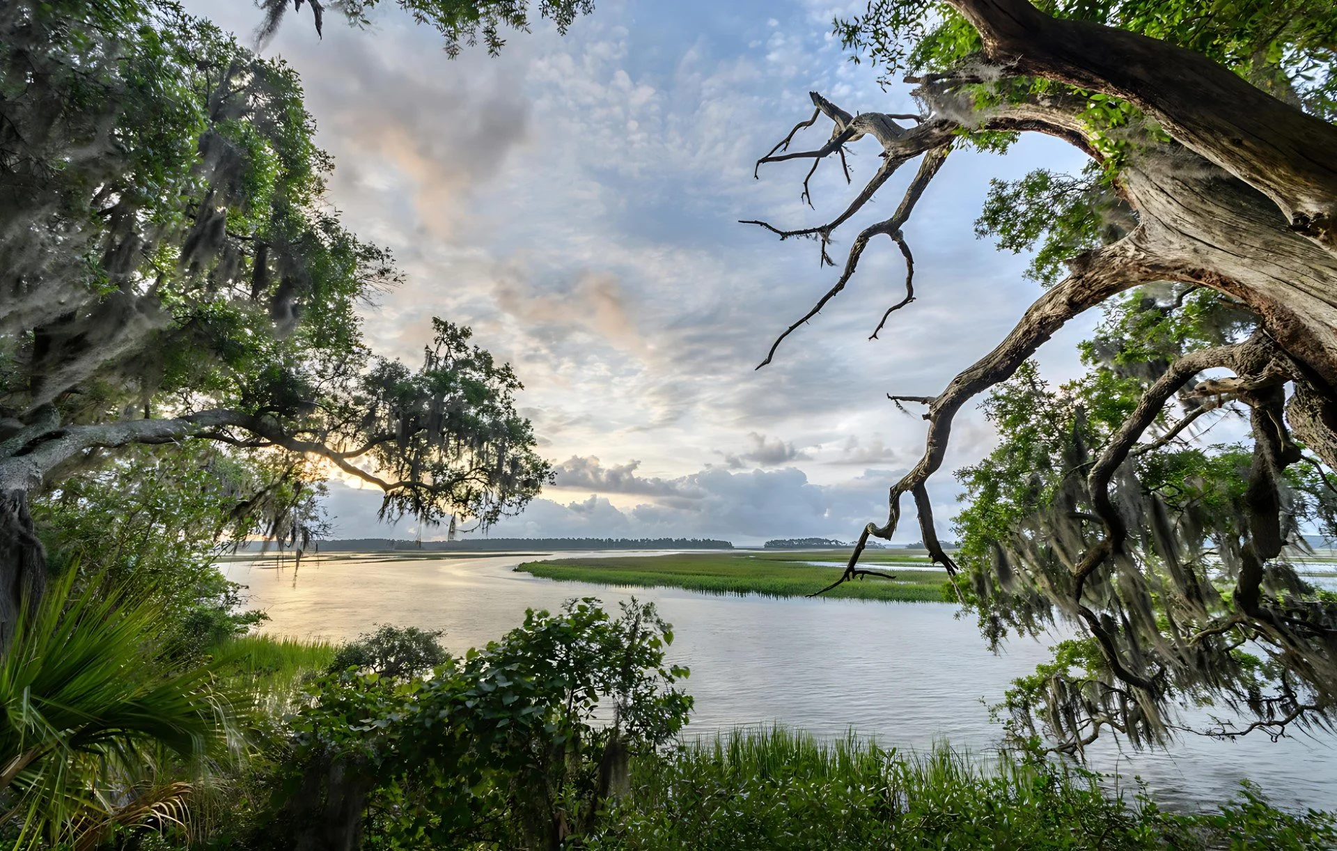 Marsh view from Moreland Village.