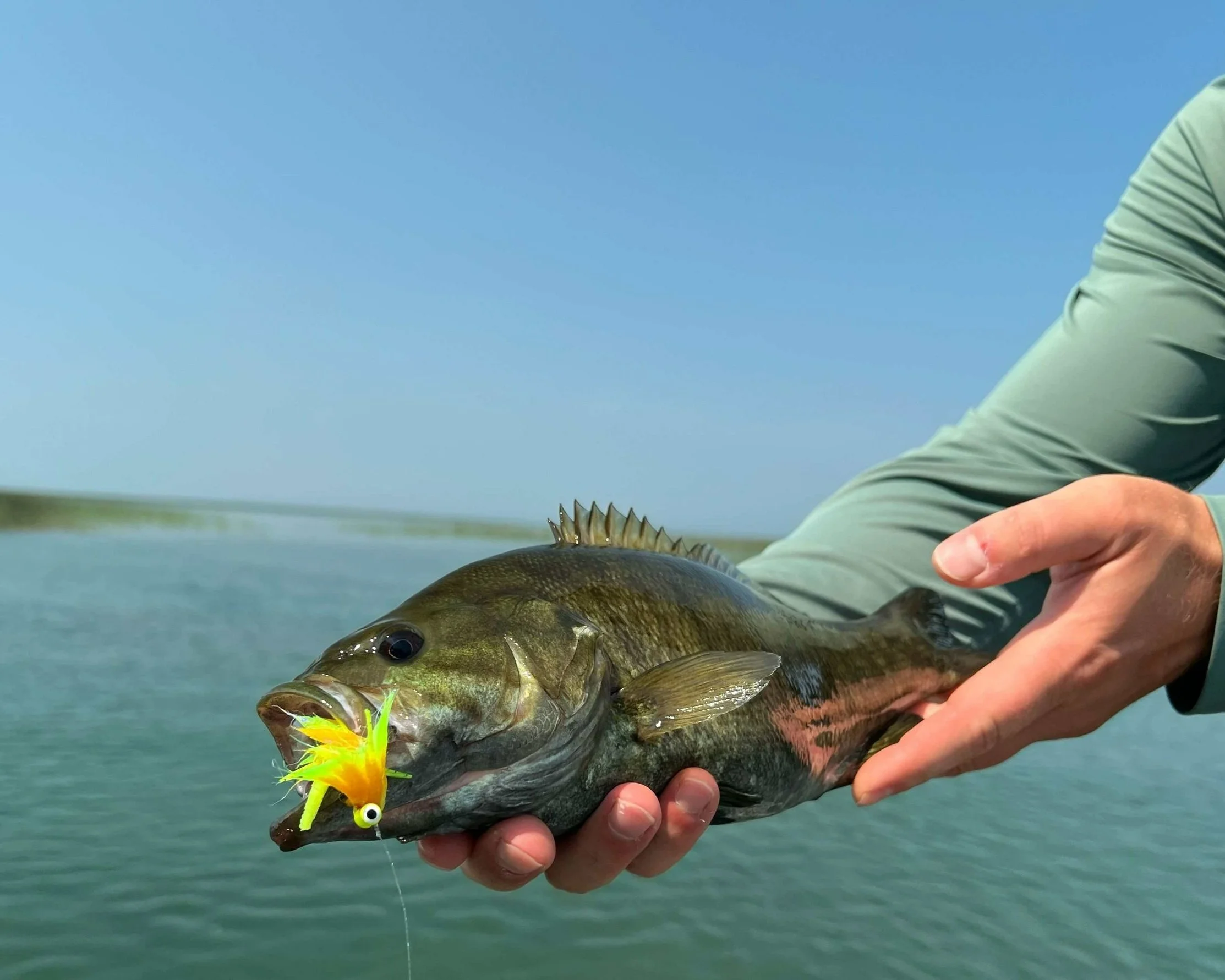 Smallmouth bass flies