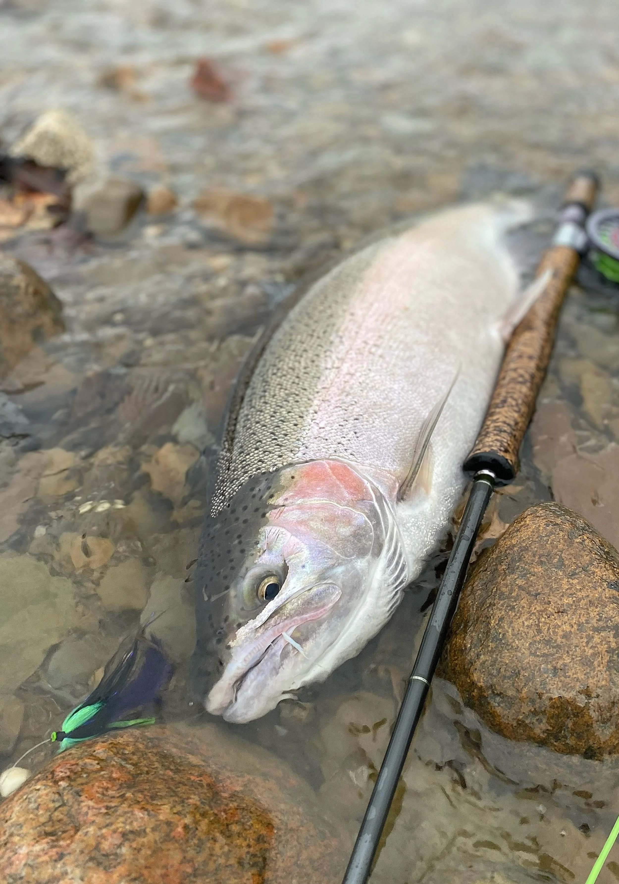 Silver and Bronze