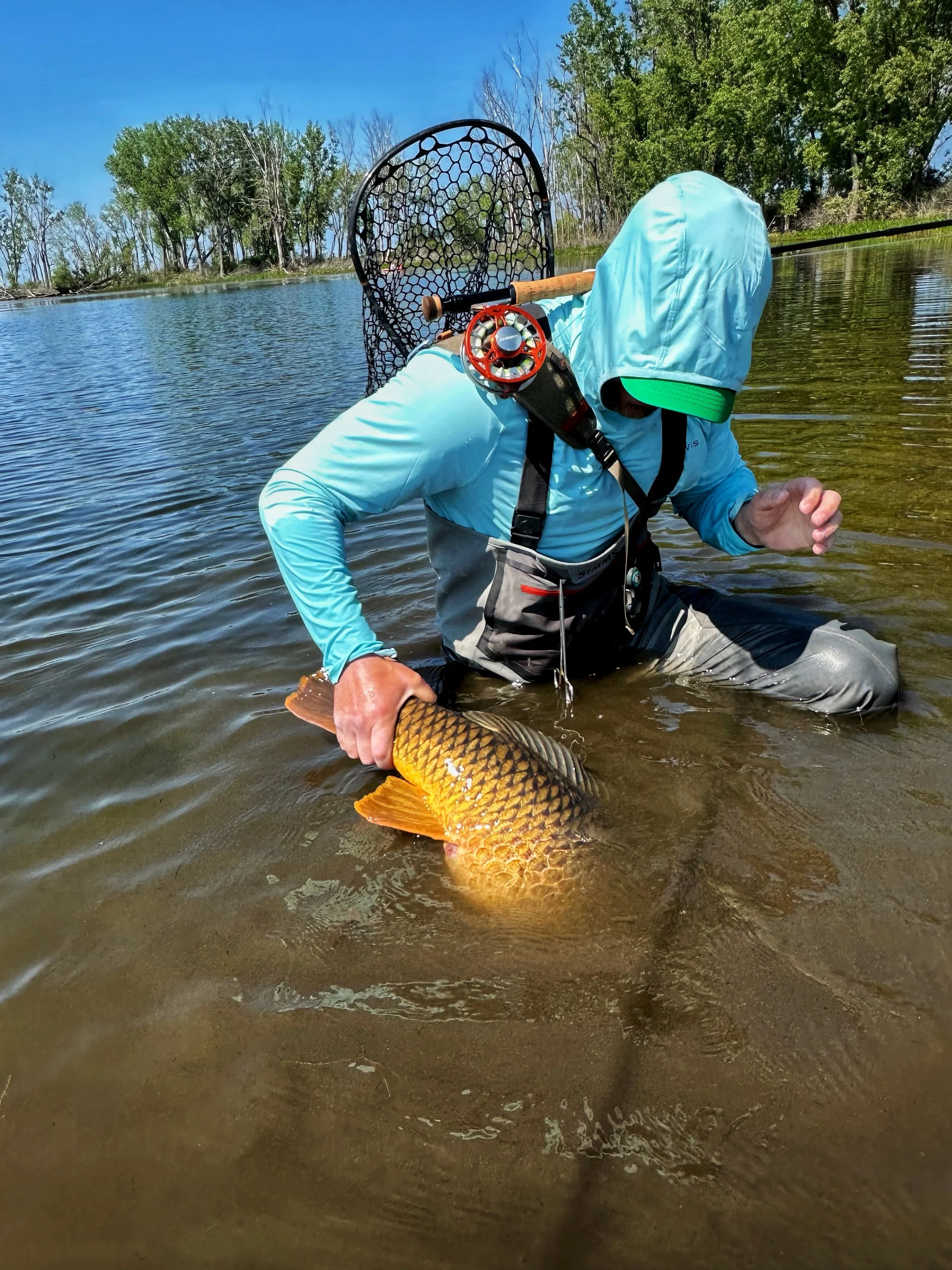Mud shark wrestling 

#carpangling #commoncarp #wadefishing #flyfishingnation #carplife