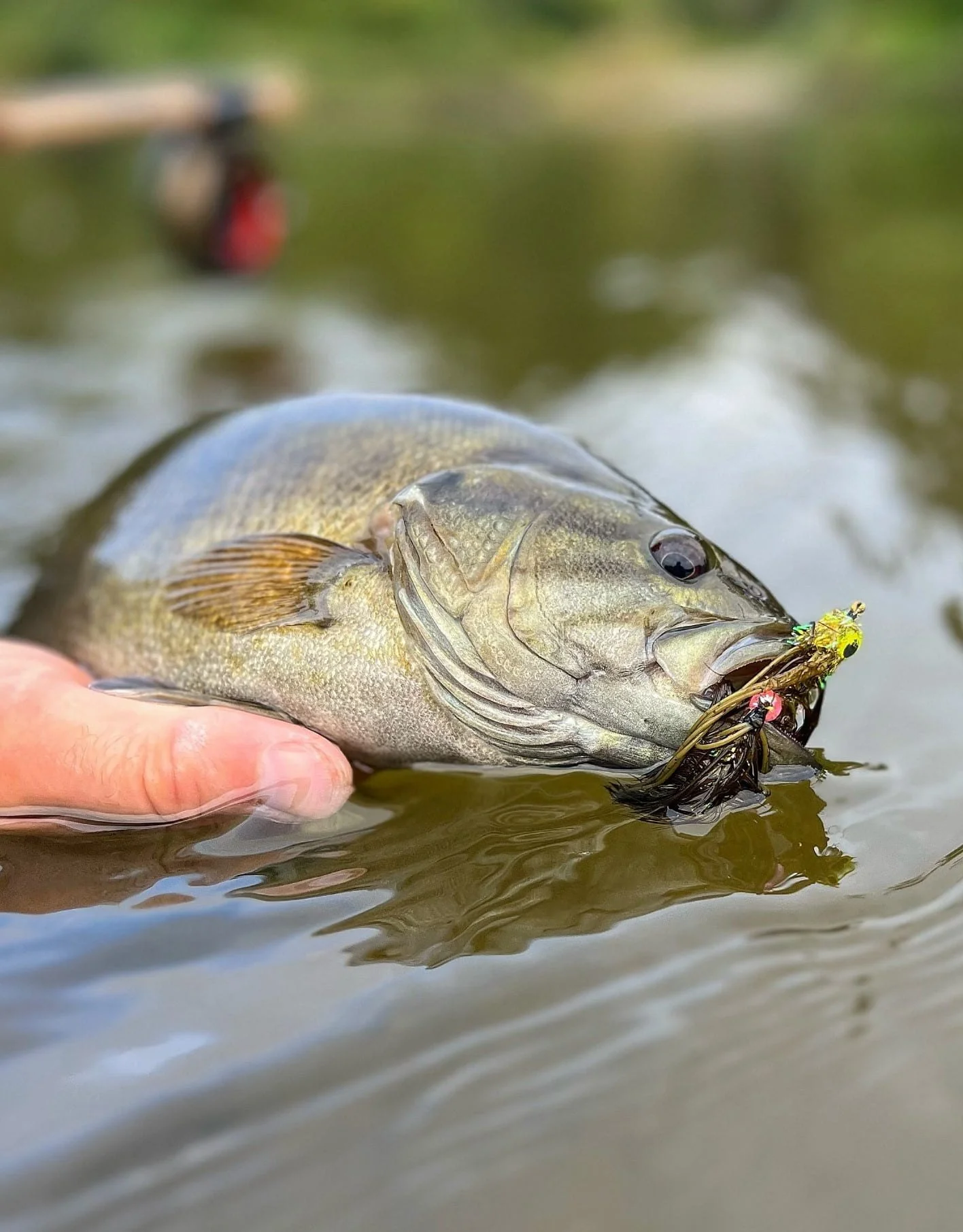 Matt Redmond Fly Fishing