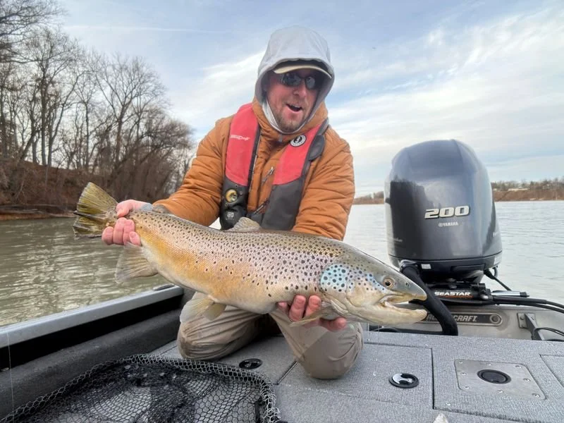 Niagara River fly fishing for brown trout