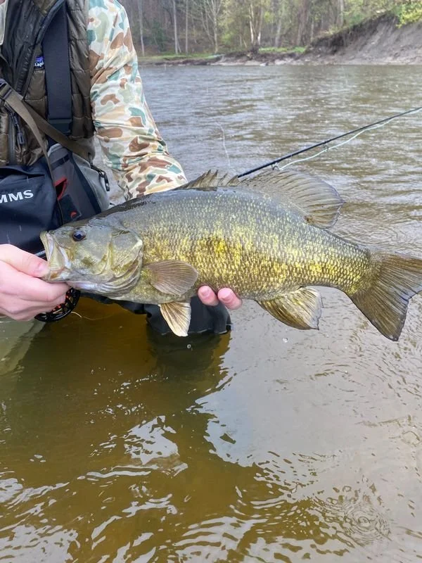 Two Lines for Wade Fishing Smallmouth Bass