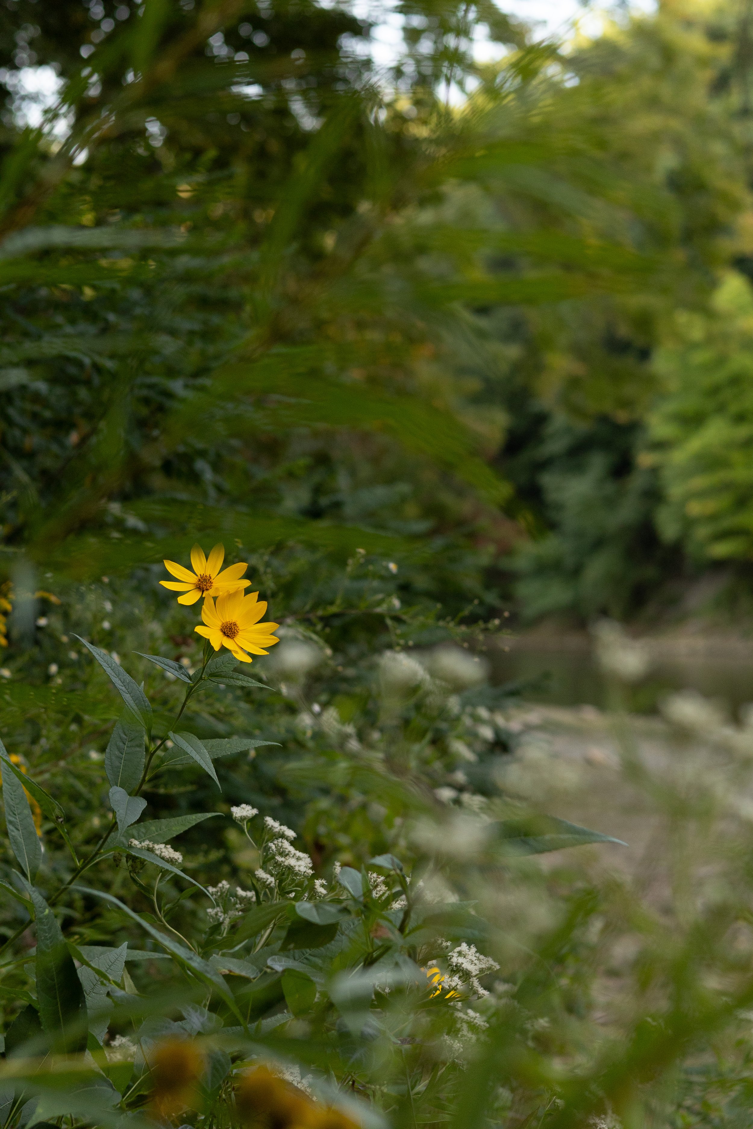 untitled-22-90.jpg