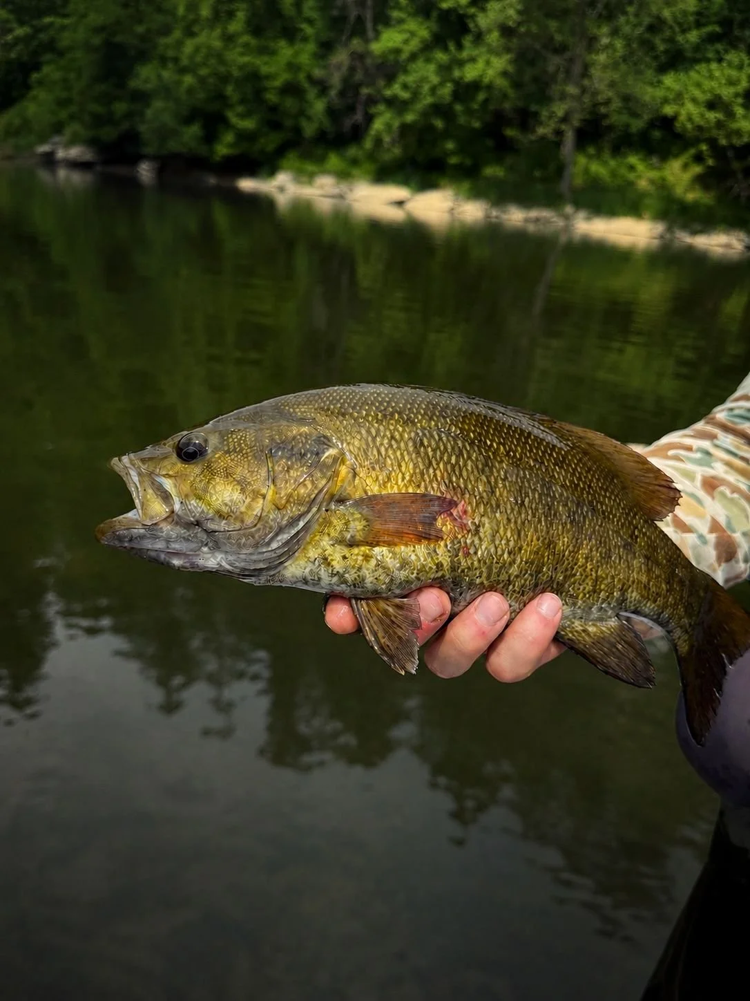 Pennsylvania Smallmouth Bass Fishing