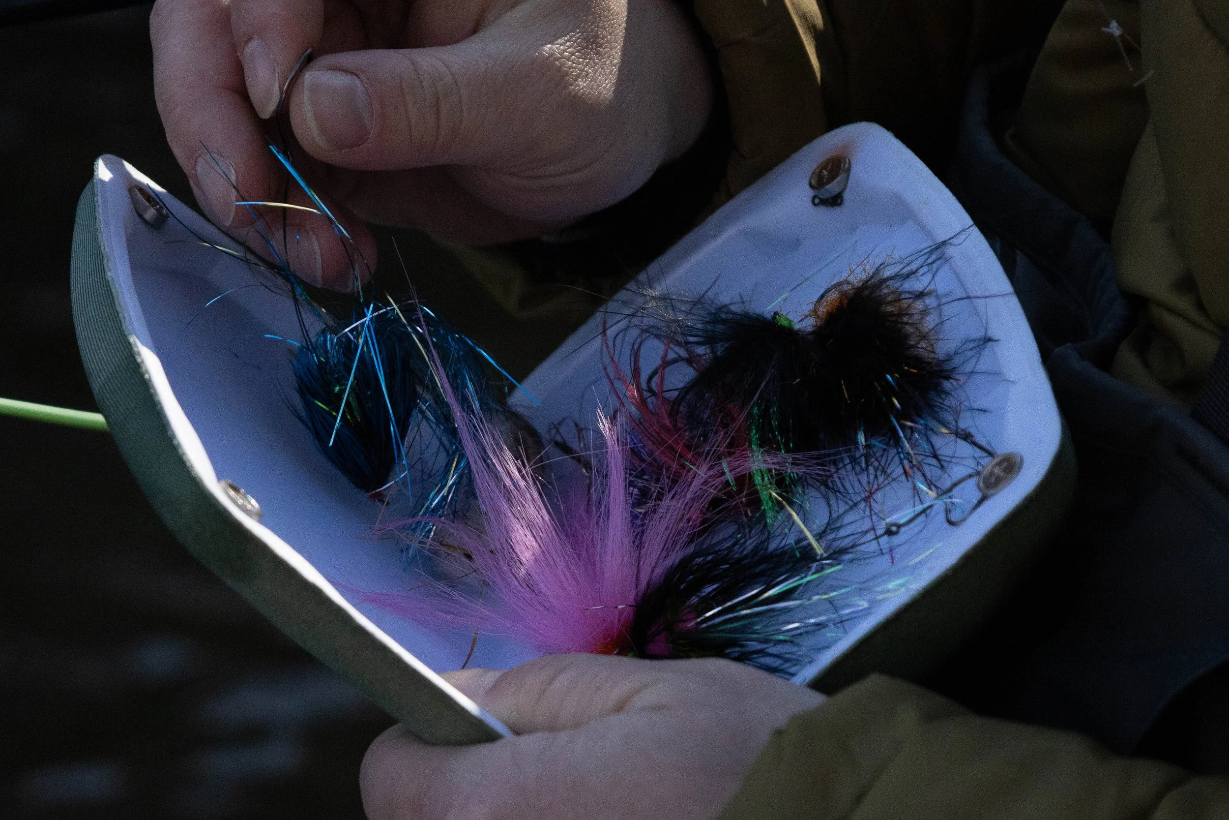 Cheeky Nov 2024-2.jpg