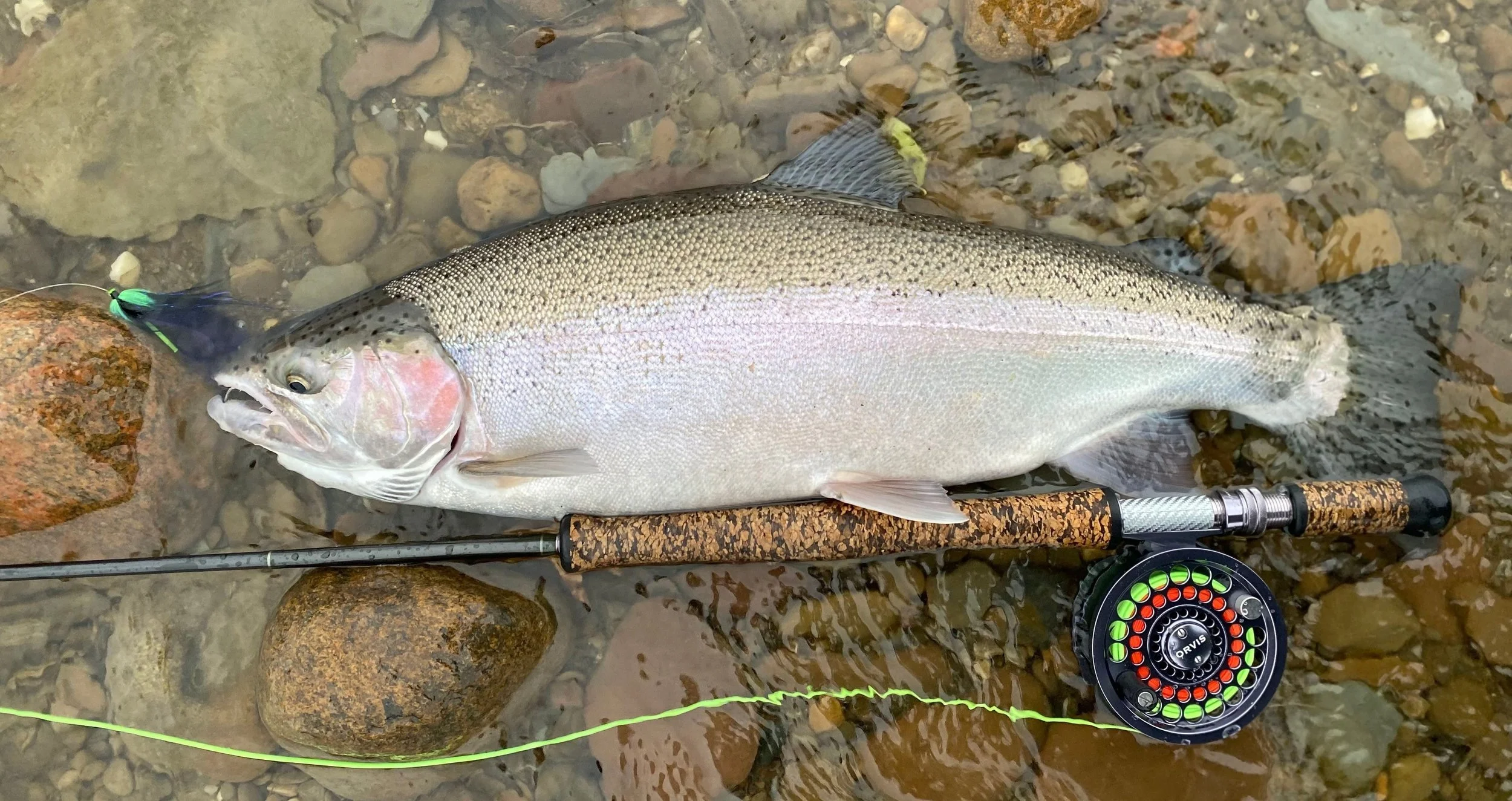 Great Lakes steelhead fishing.