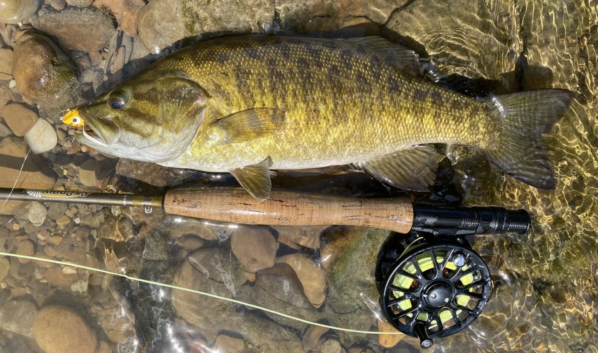 St. Croix fly rods