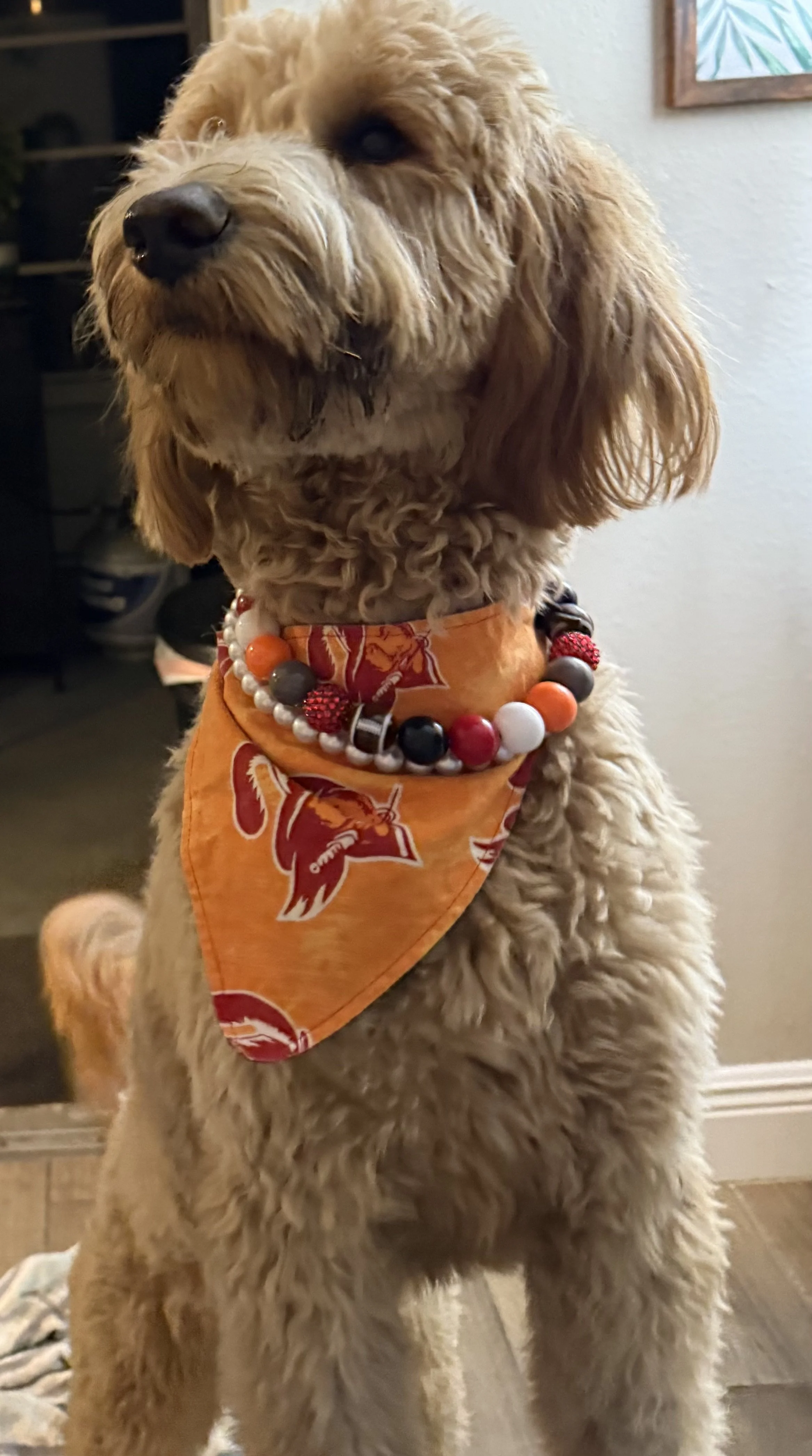 The Football Fan Beaded Dog Collar