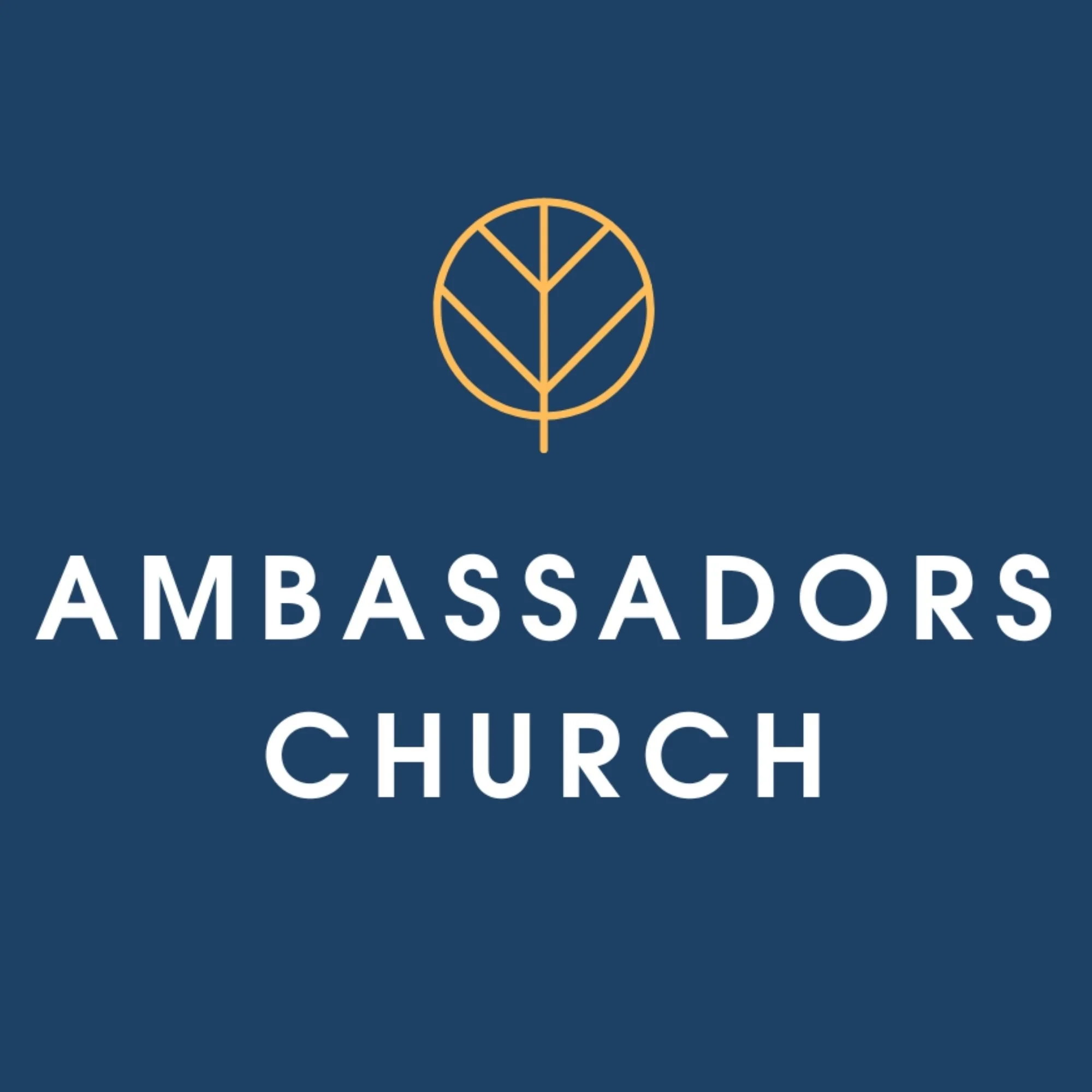 Ambassadors Church