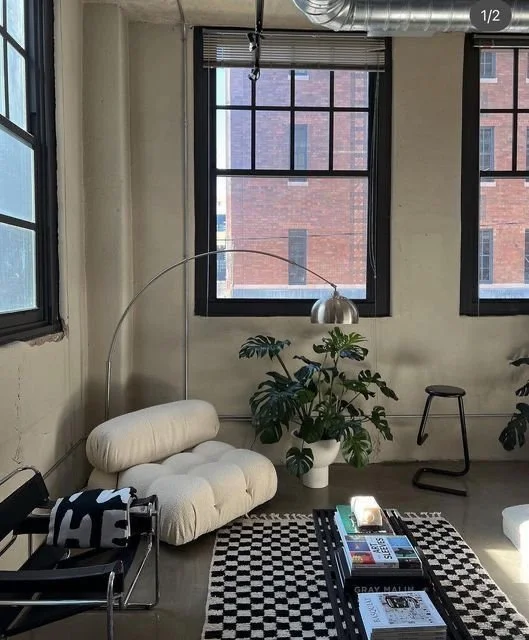 Monochrome Living Room with Black and White Decor