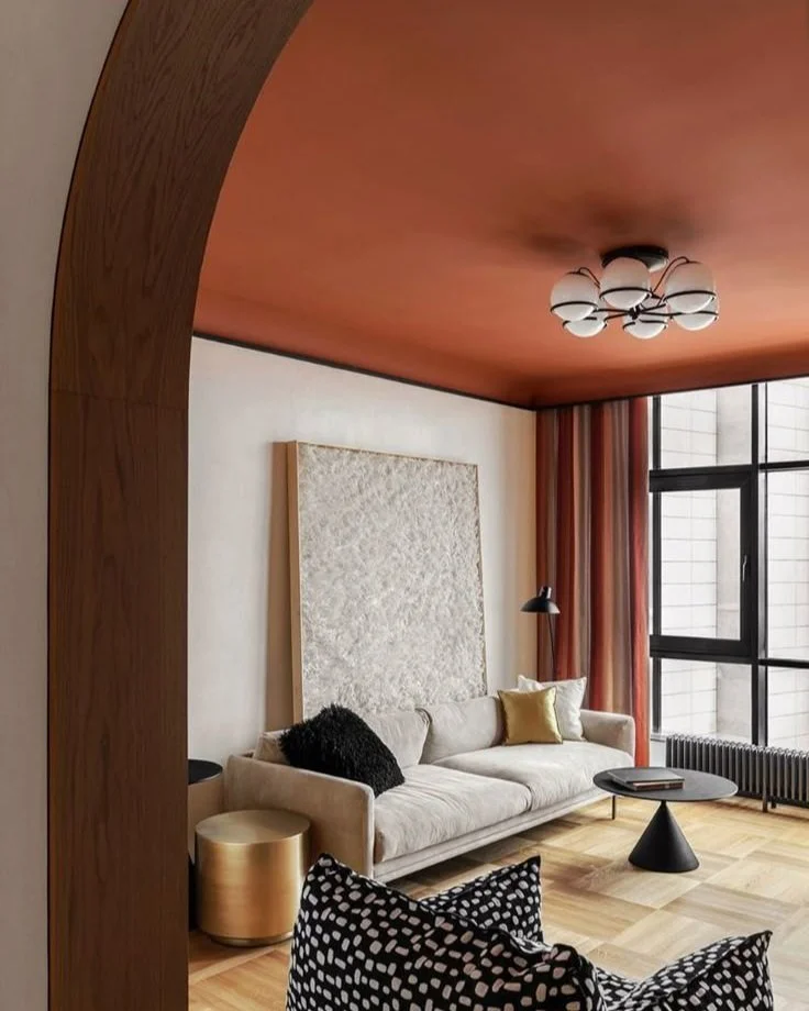 Statement Painted Terracotta Ceiling in Living Room