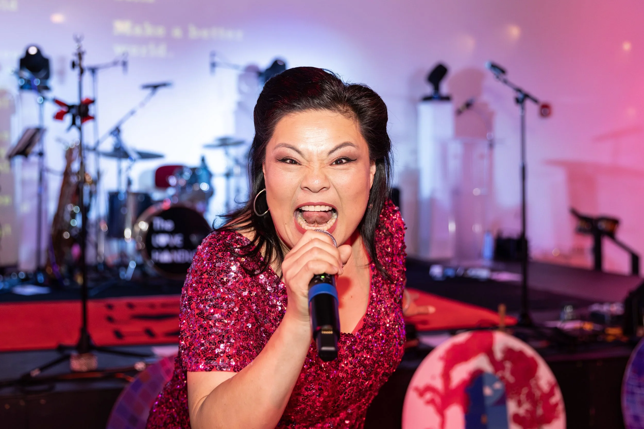 NPO Fundraiser Entertainment