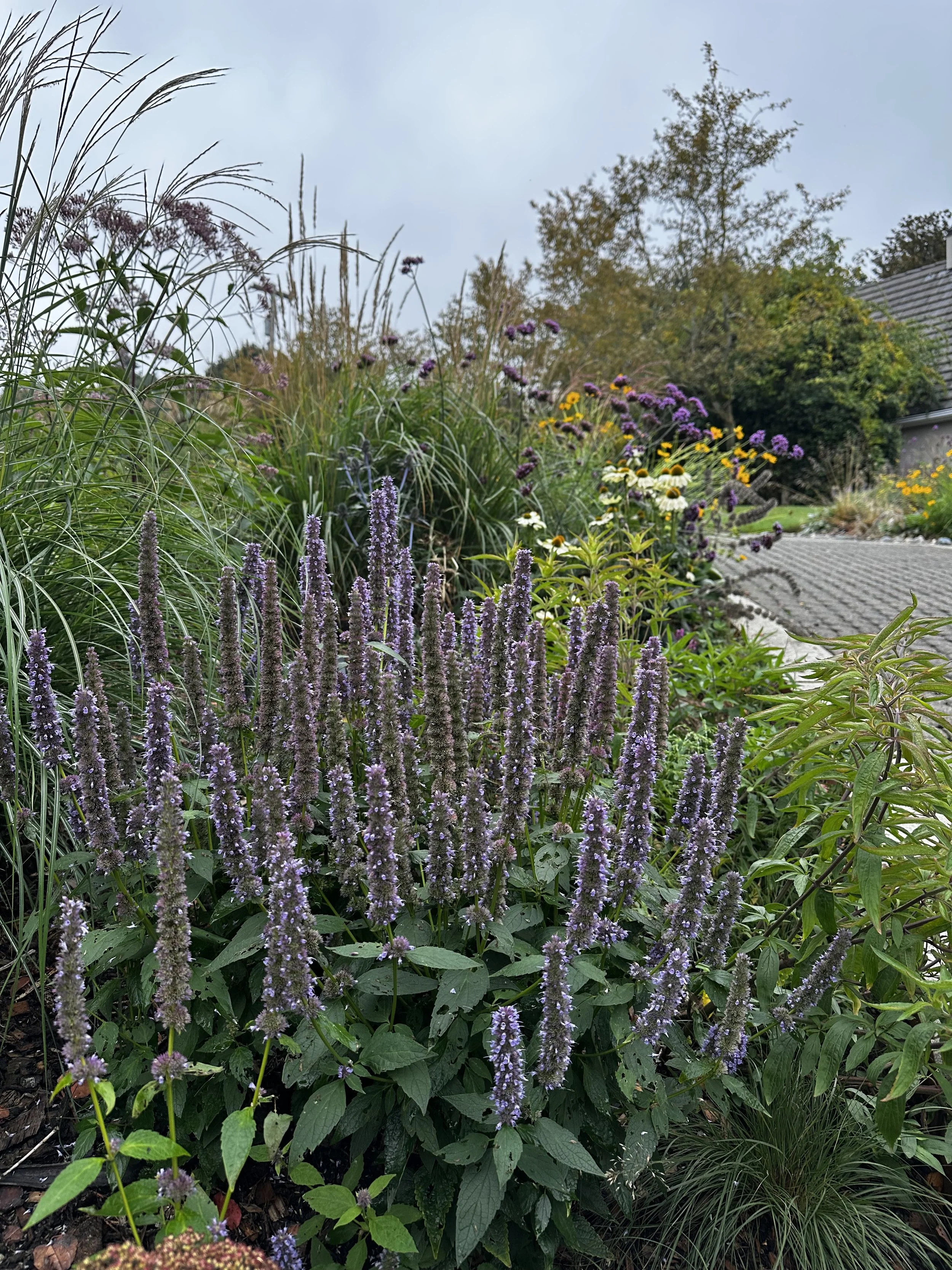 How Much It Costs to Replace Traditional Landscaping With Naturalistic Plants in Seattle