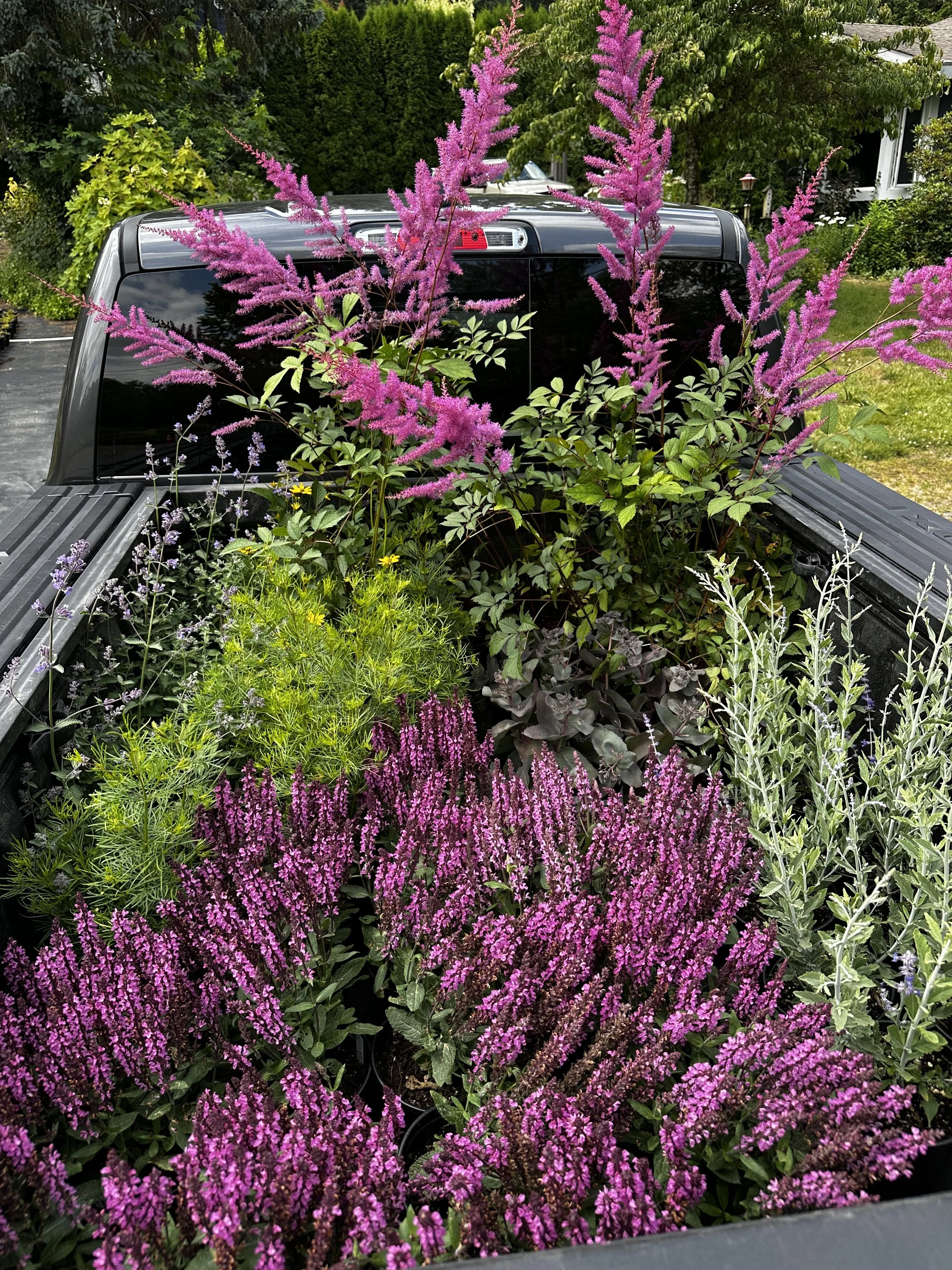 How I Convinced My Husband to Let Me Plant “All These Plants” (And Why He Loves It Now)