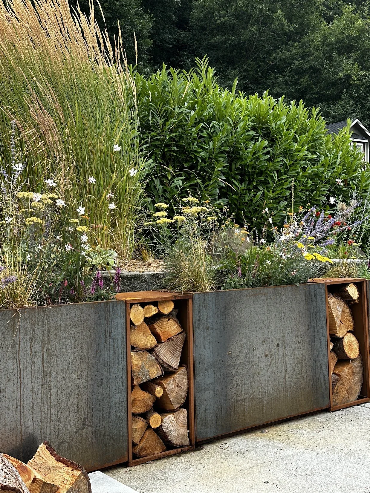 The Rules Landscape Designers Follow
And Why They Matter for Seattle Gardens
Part 3: Designing for Time, Weather, and Reality