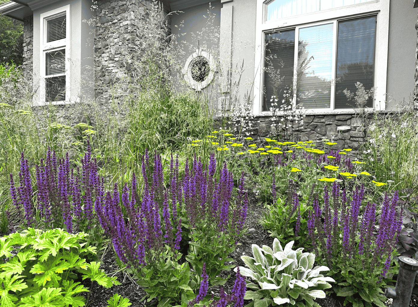 The Rules Landscape Designers Follow And Why They Matter for Seattle Gardens 
Part 2: Planting for Longevity in the Pacific Northwest