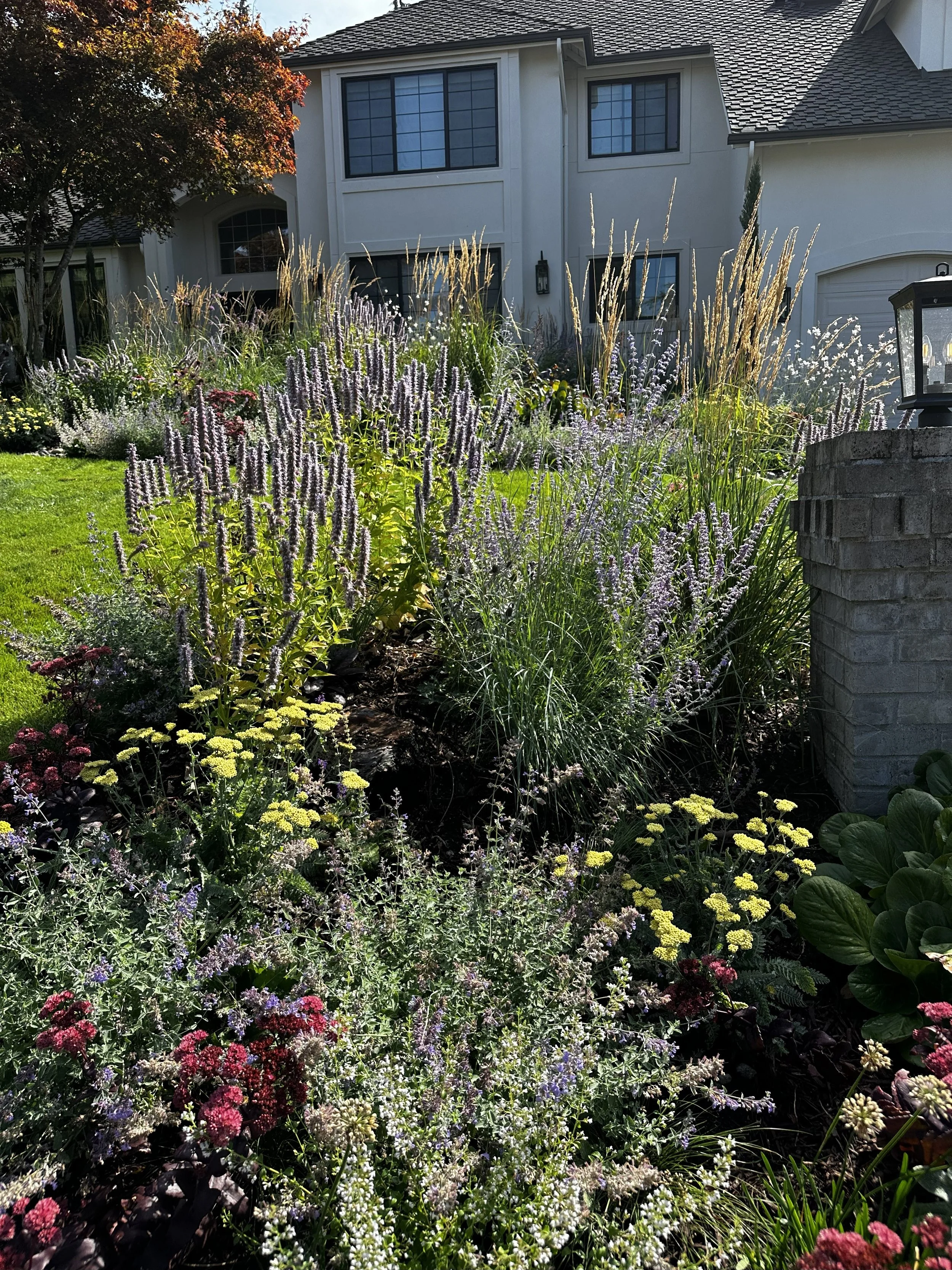 1F1C9BA1-B26D-4D42-B3EE-DD373B2C9A1D_L0_001-11_10_2025, 8_08_32 AM (1).jpg