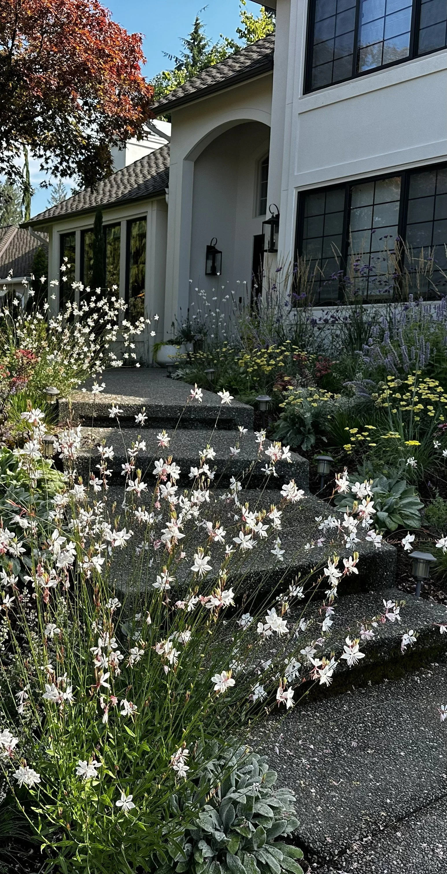 The Garden Sandwich: 4 Steps to a Designer Garden Bed (No Digging Required!)