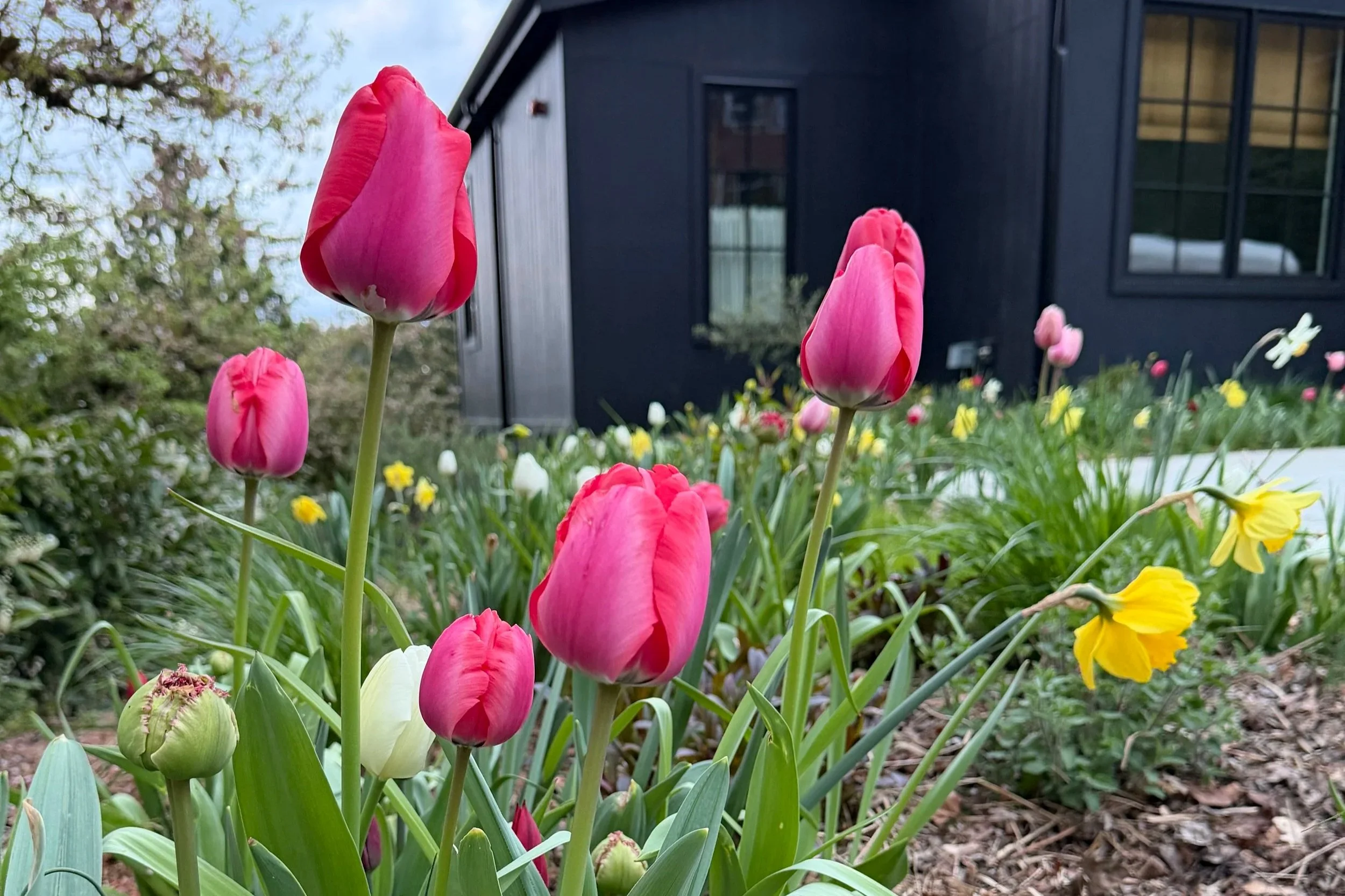 THE SPRING LAYERING GUIDE For Seattle Gardens &amp; The Modern Prairie Aesthetic