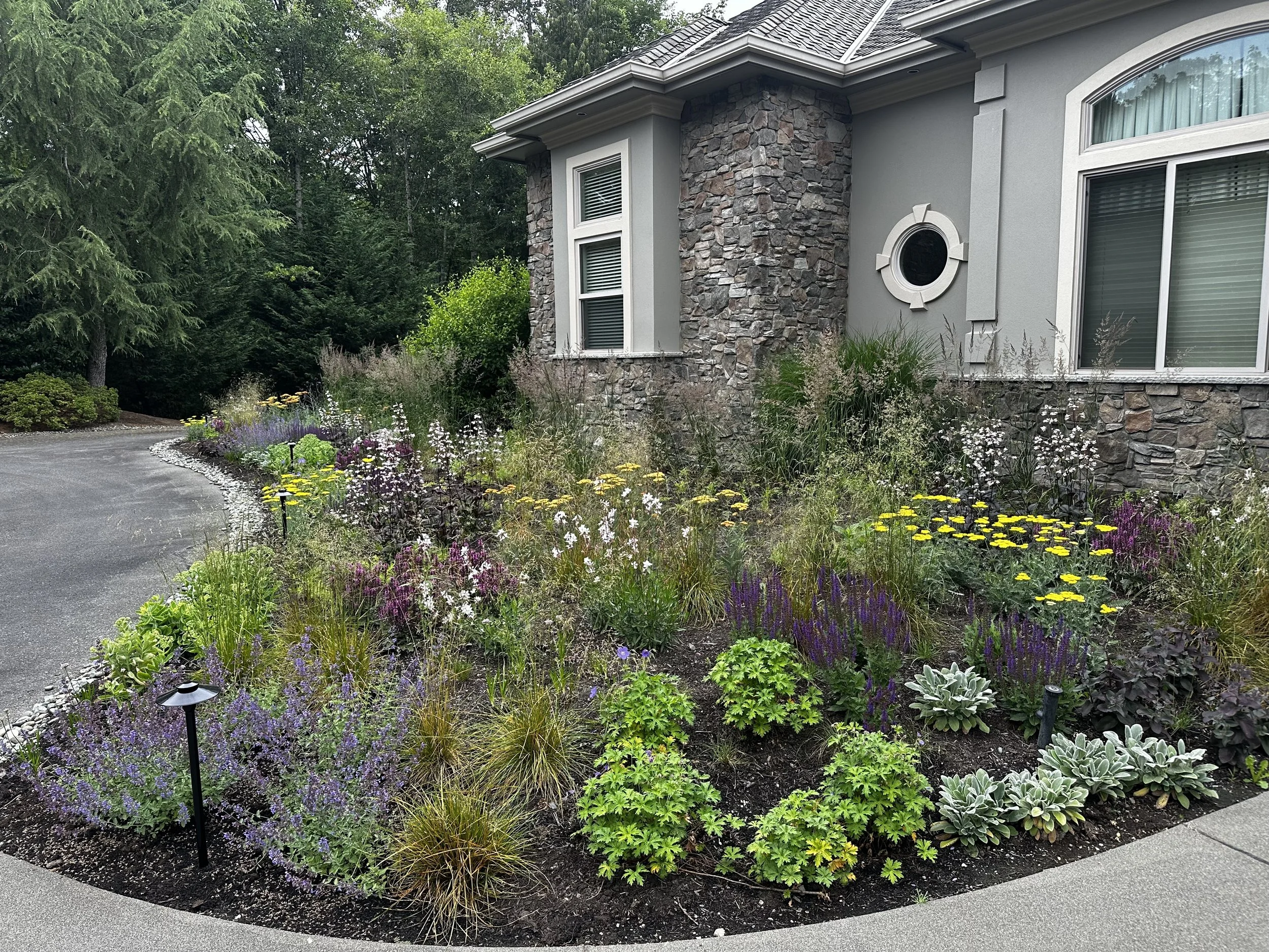 Soos Creek Oasis
