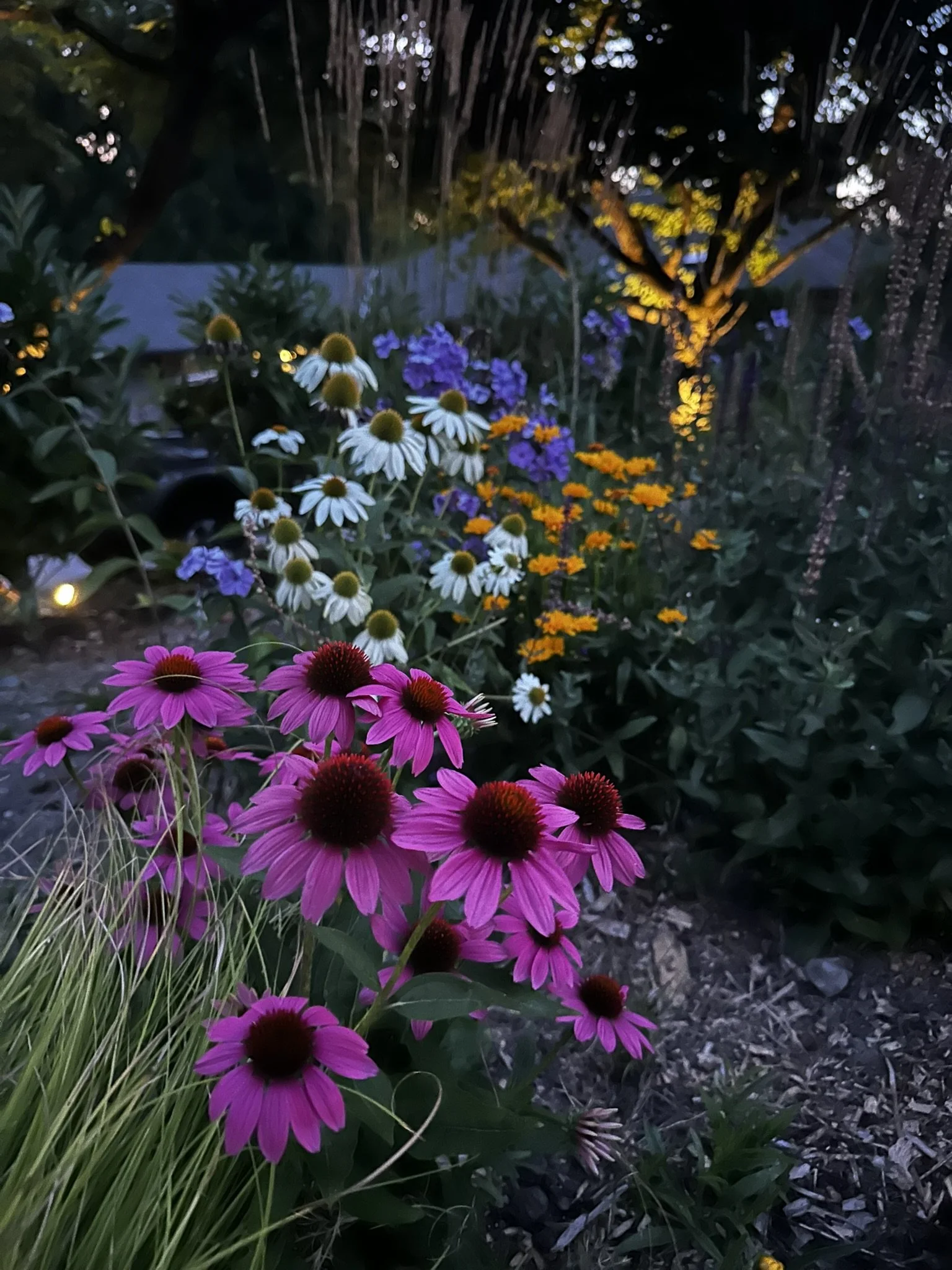 How to Grow Plants That Burst from the Ground Every Spring