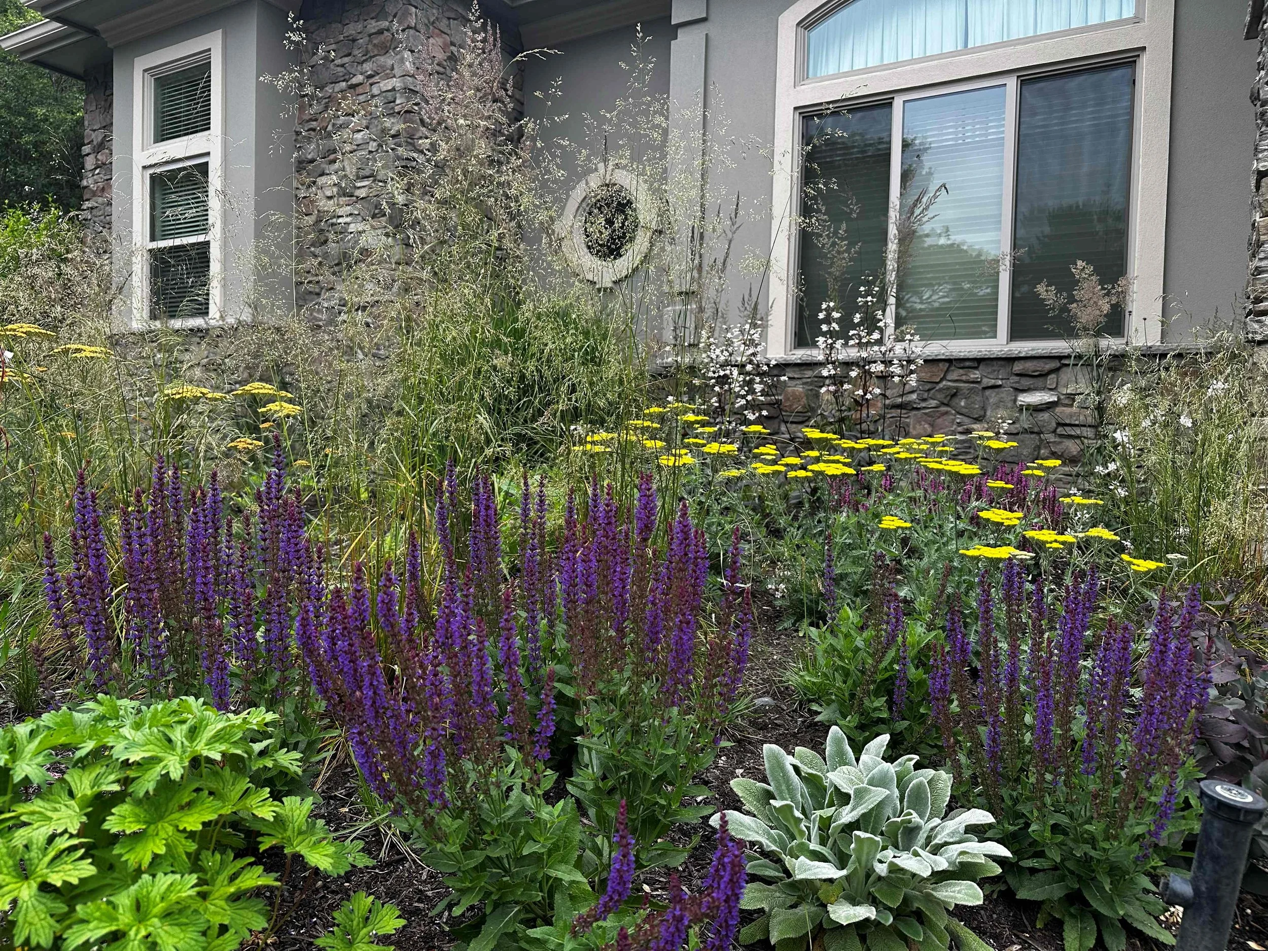 new product photo.jpg