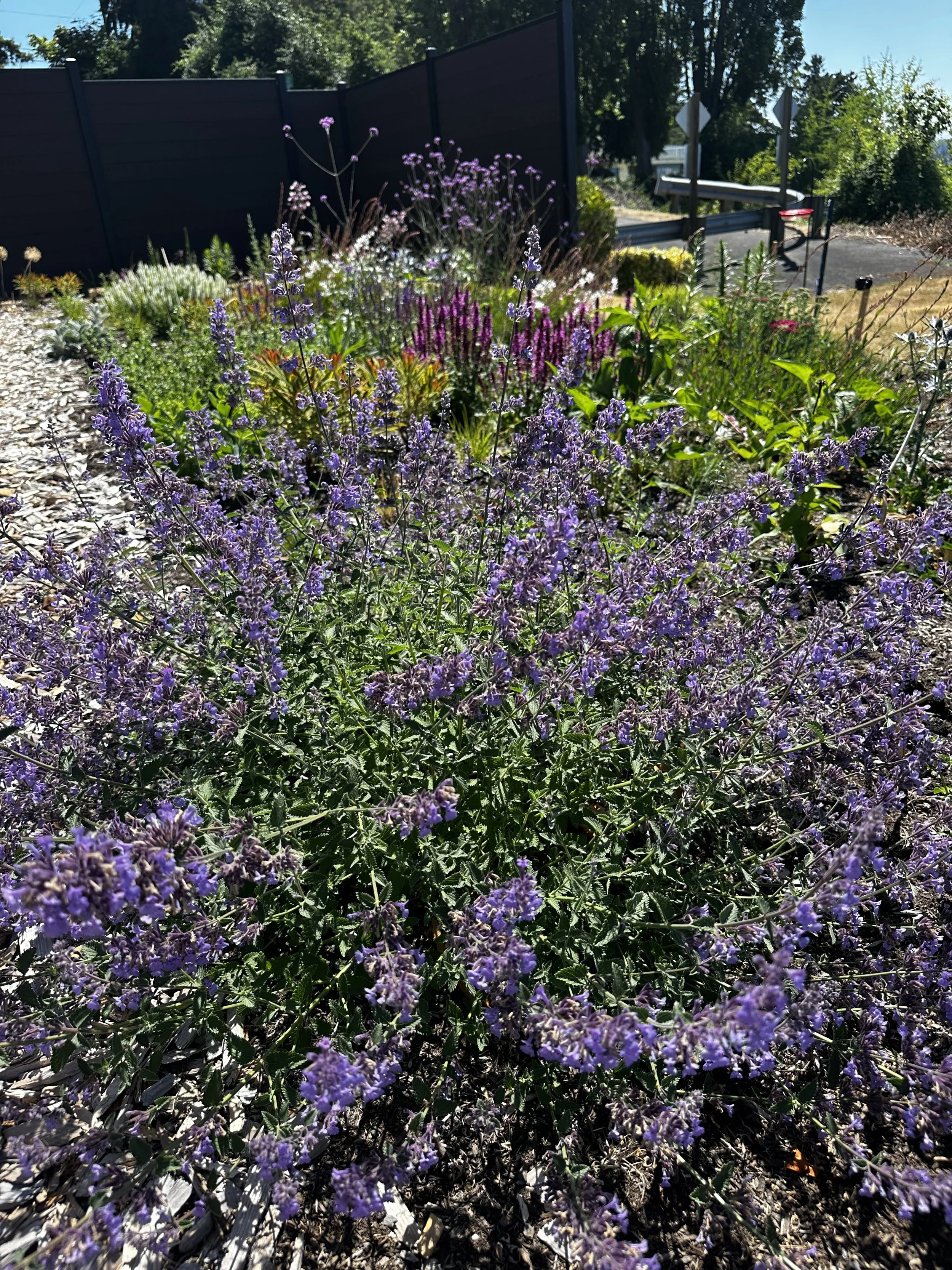 IMG_0639.jpeg