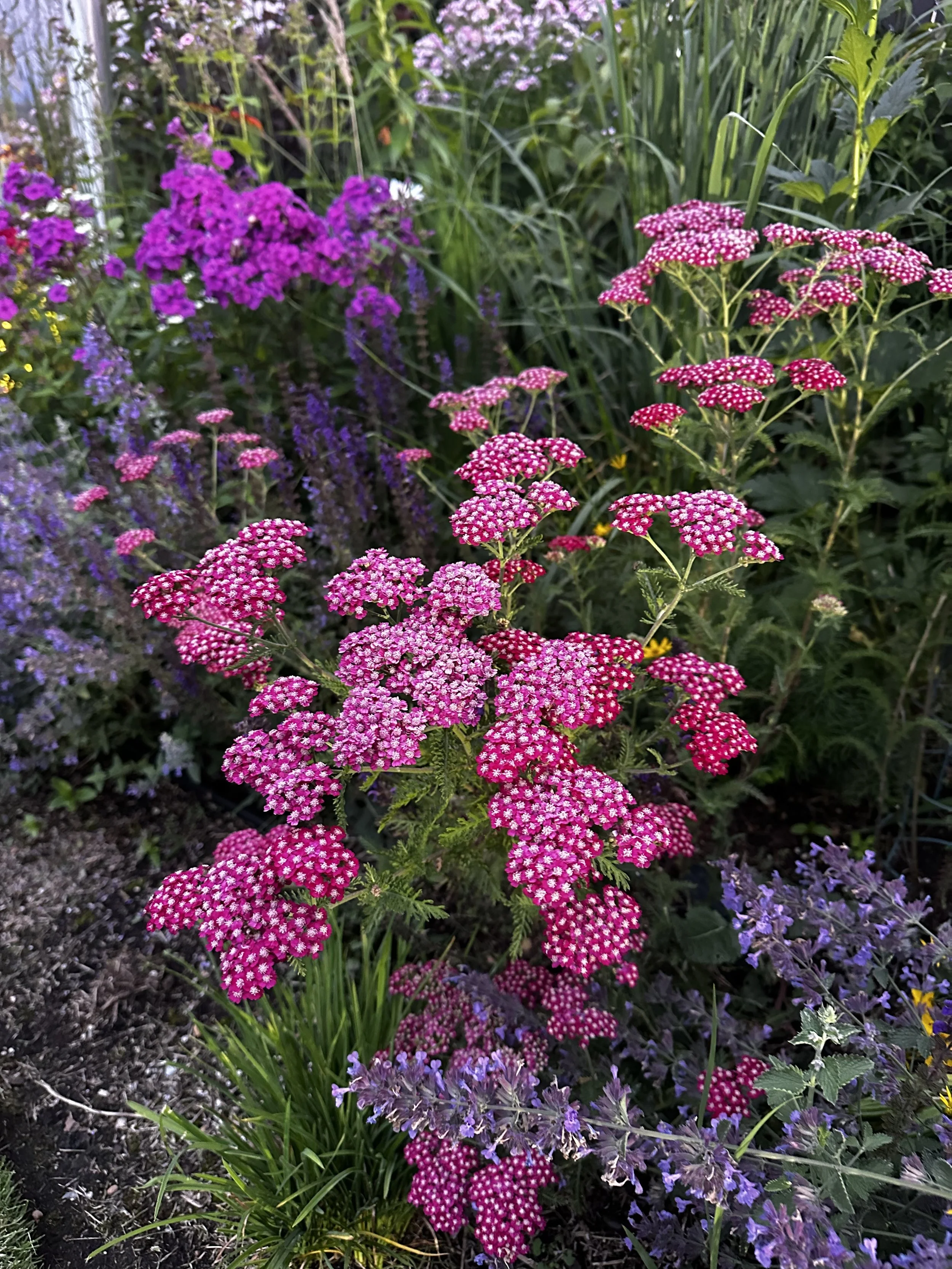 Lake Sawyer Garden