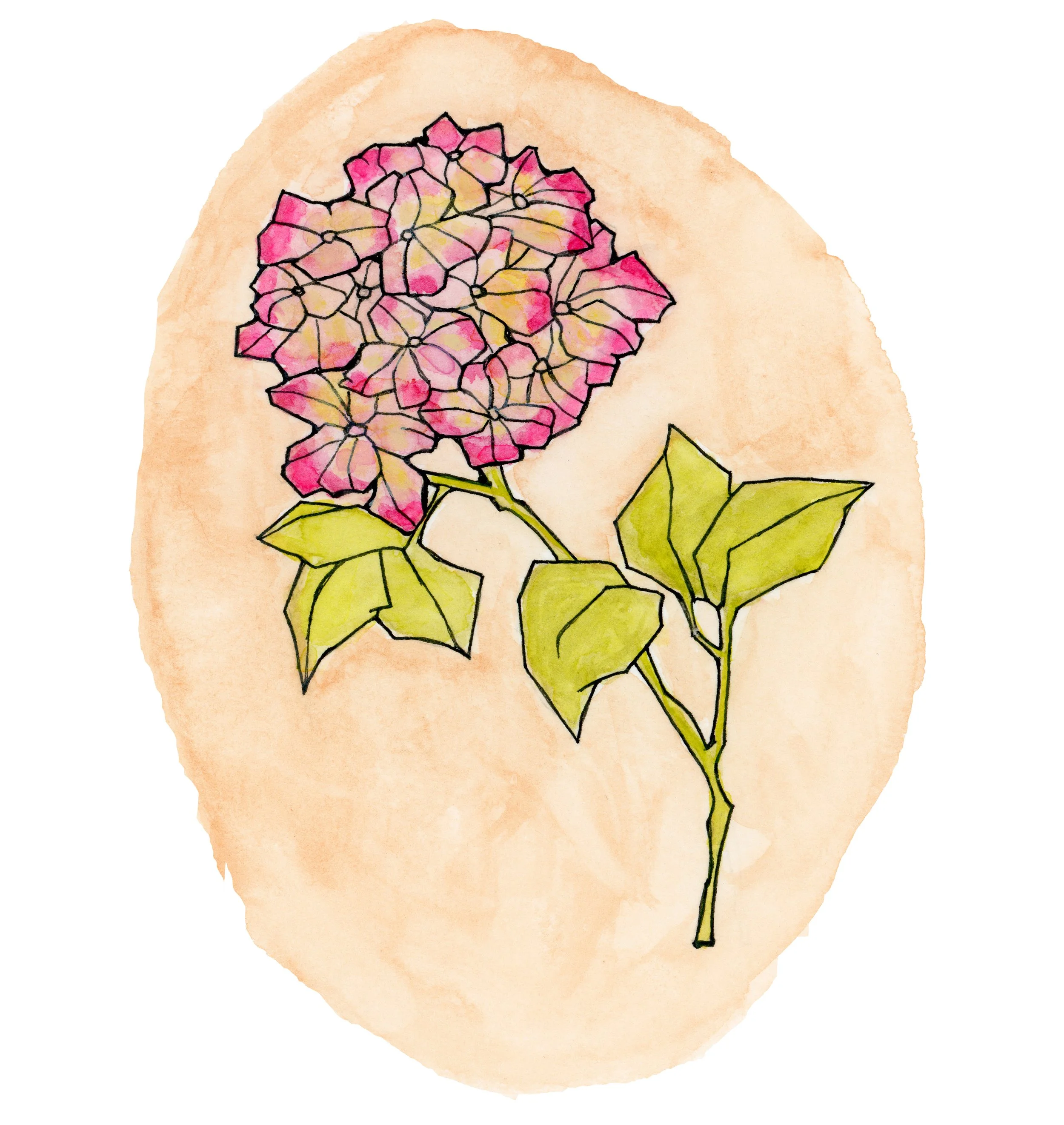 LF004- hydrangea art image 