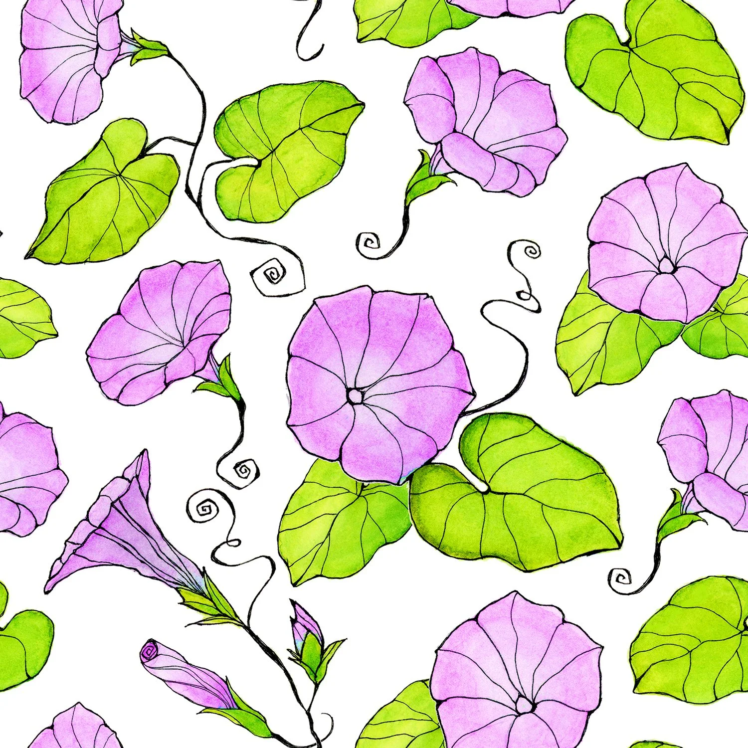 Pattern - Morning Glories
