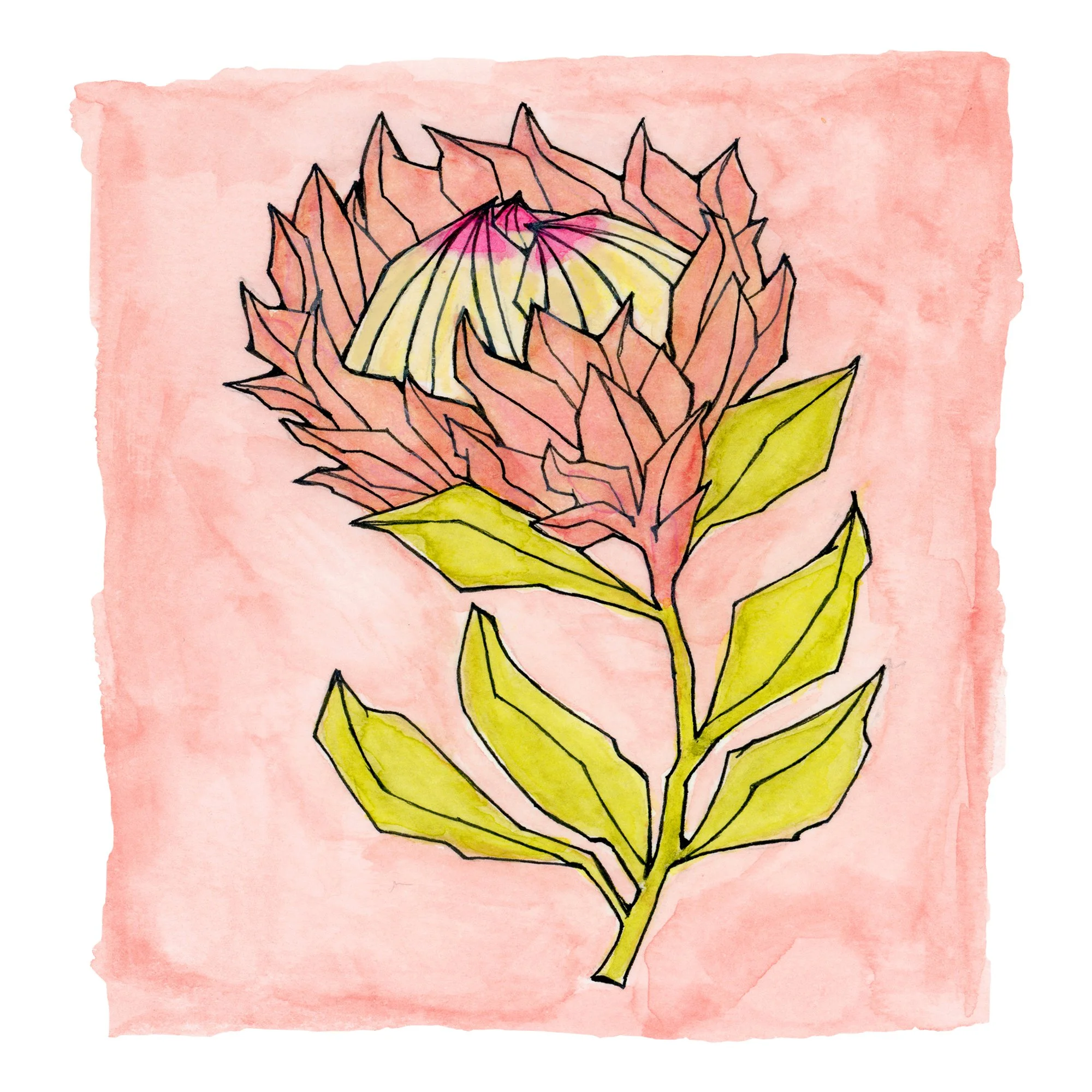 SF003- protea art image 