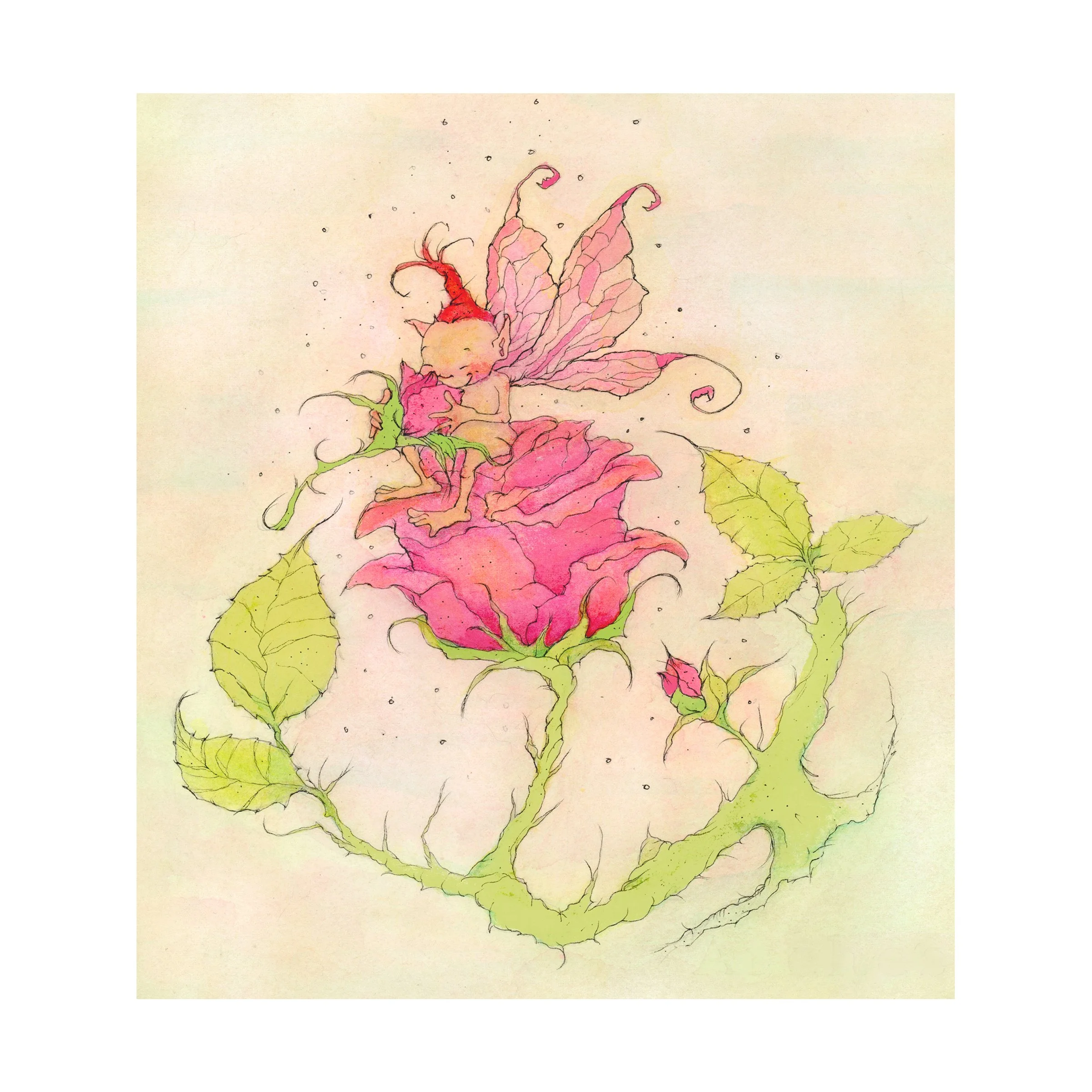 The Rose Fairy 
