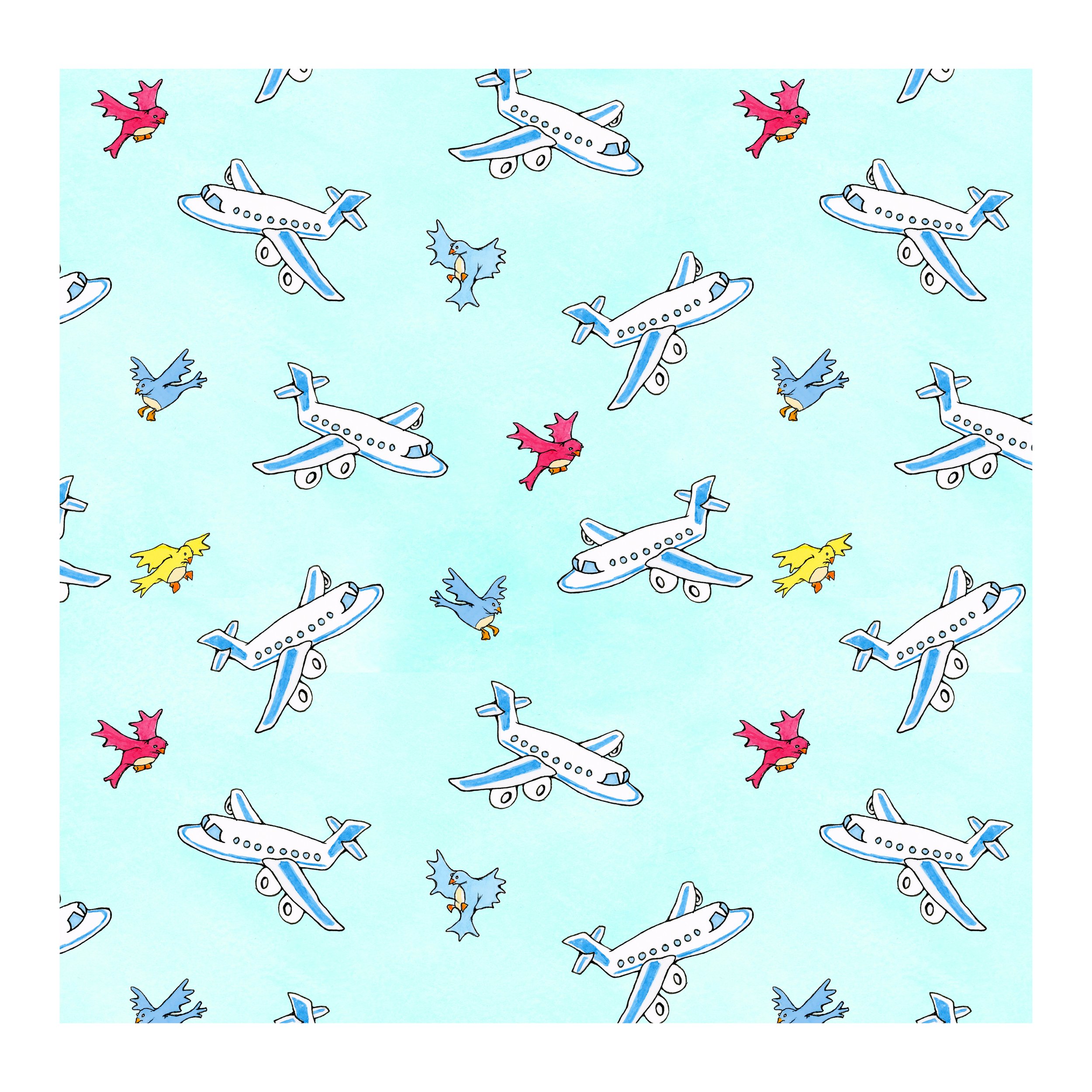 Airplanes and Birds
