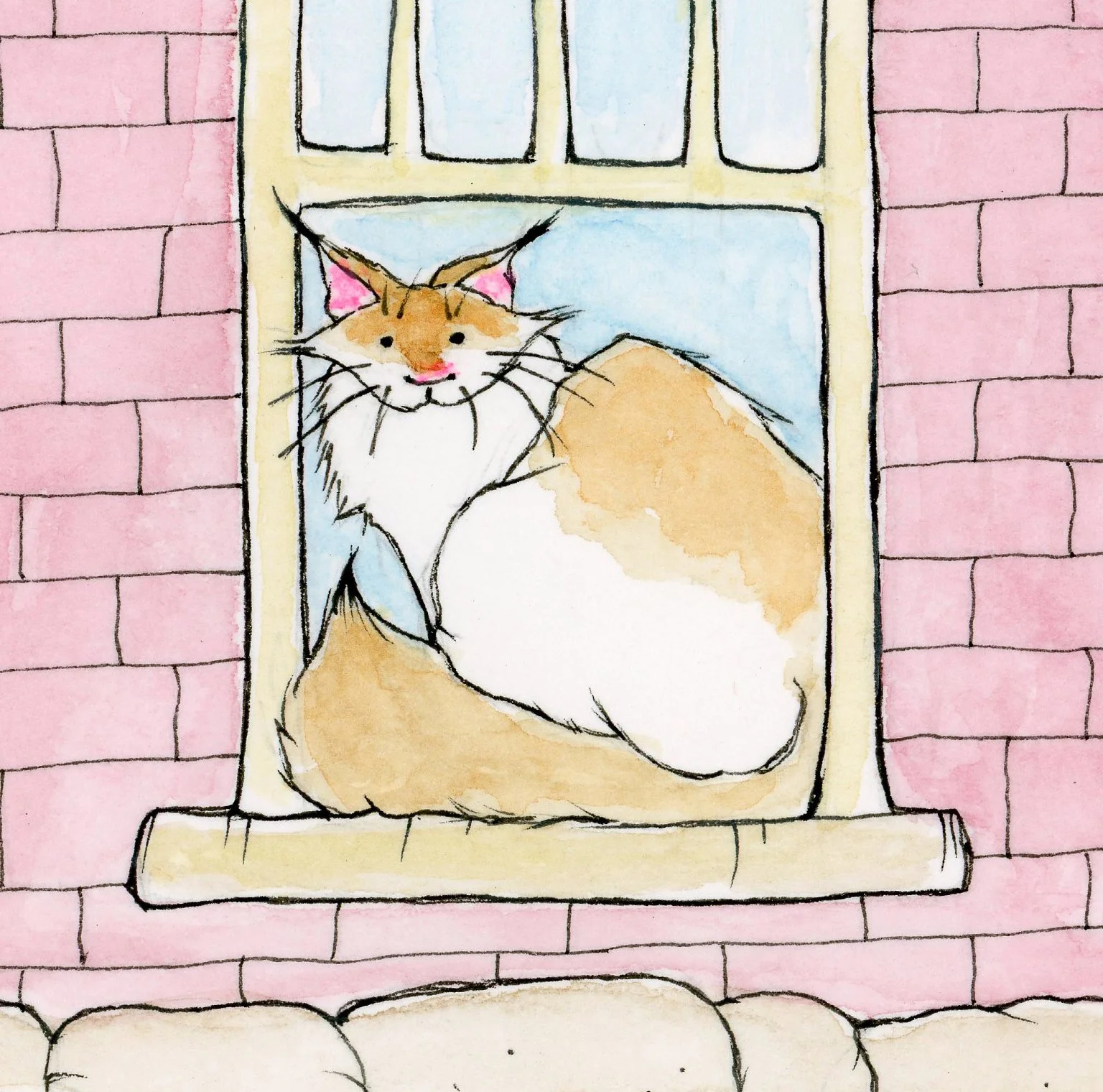 Animal Illustration 