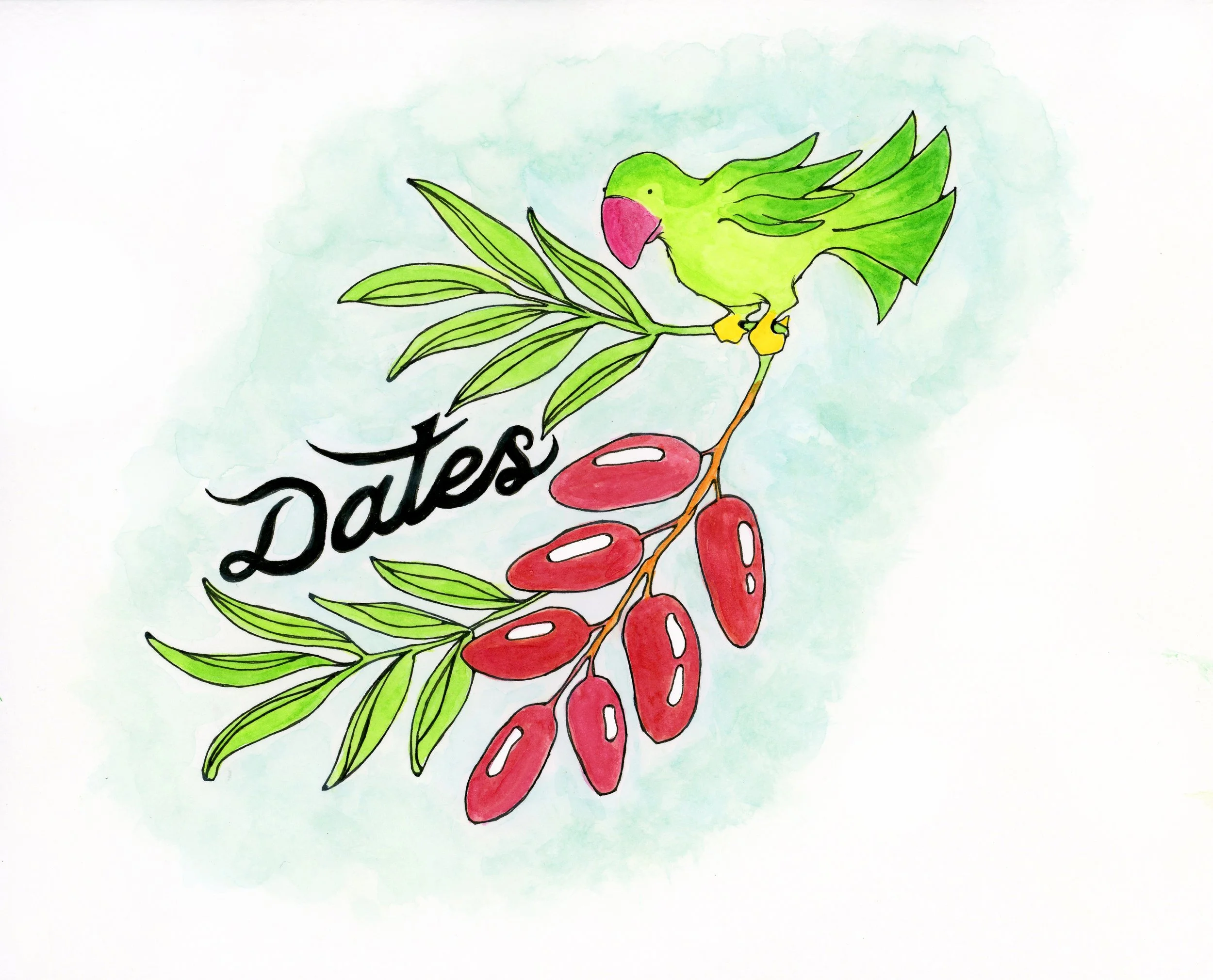 Dates and a Green Parrot