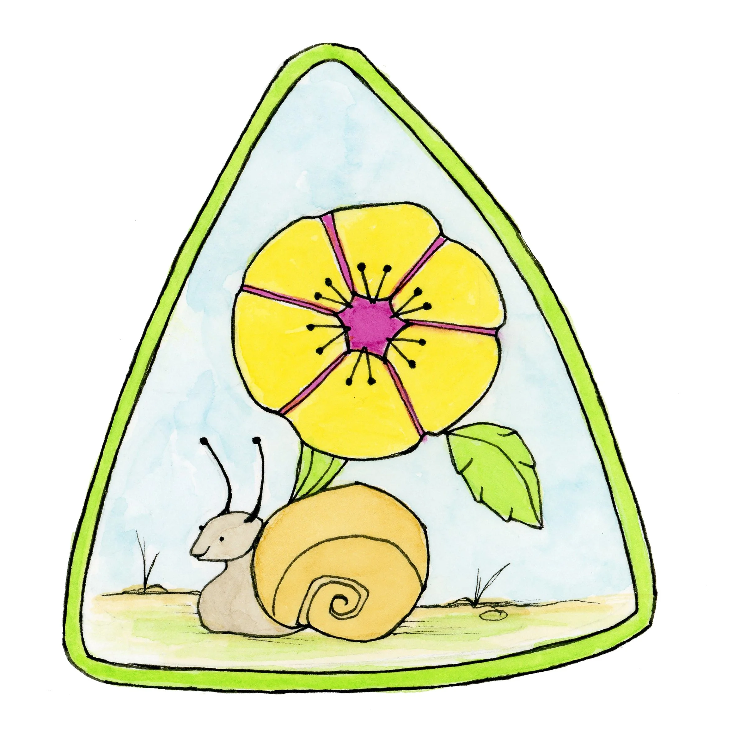 SNAIL .jpg