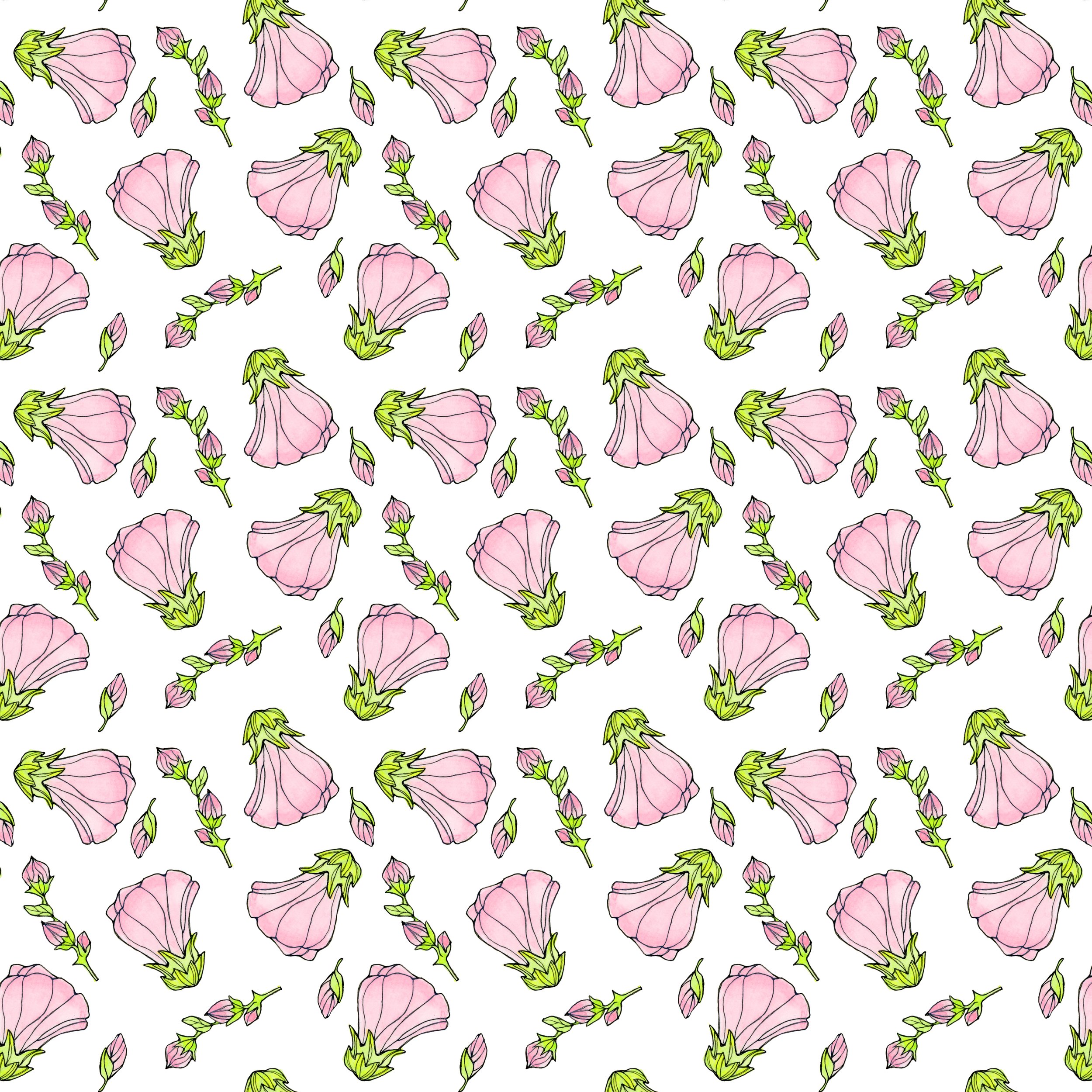 Pattern - Hollyhock Buds 
